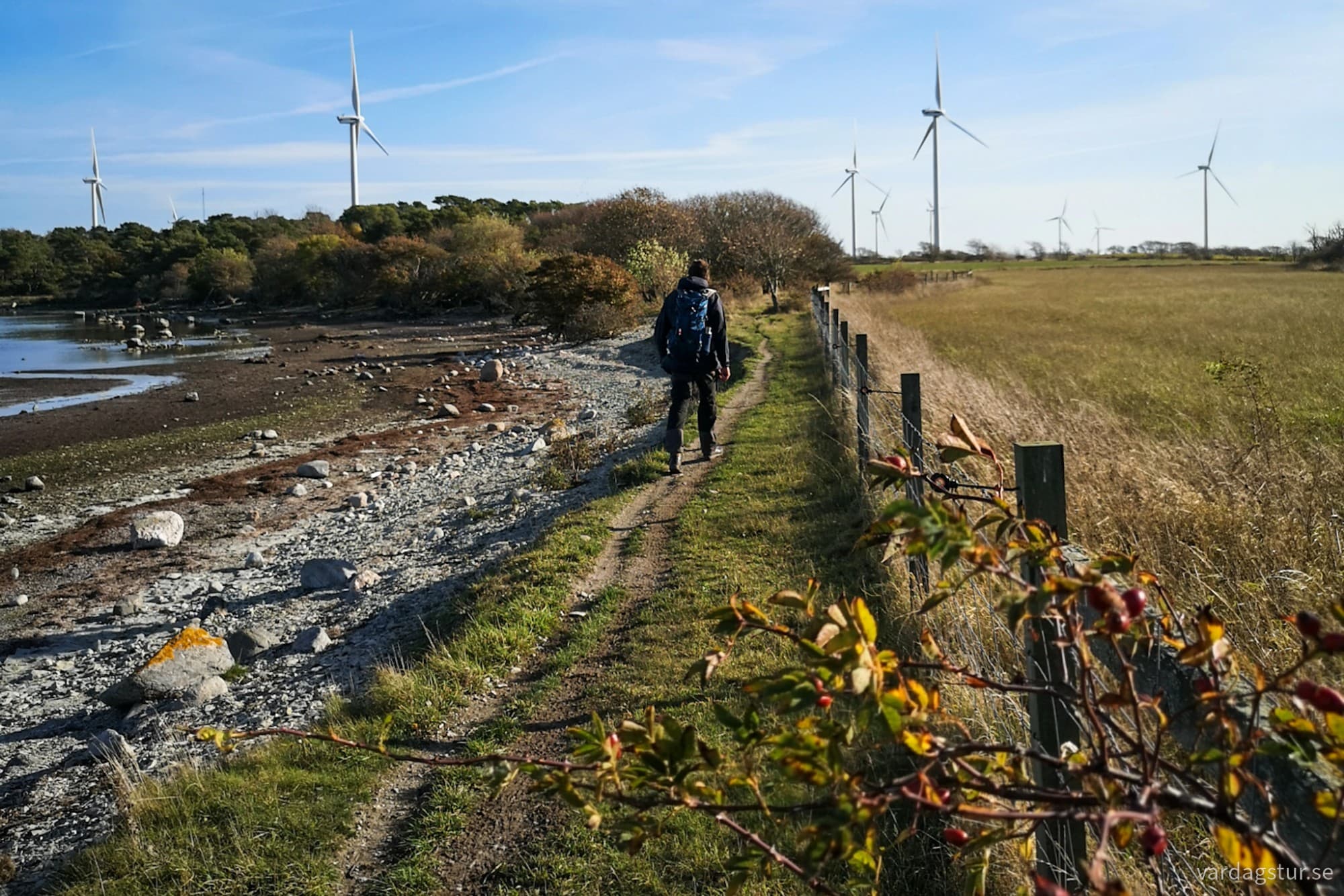 wp-17299256414968795582113556238827