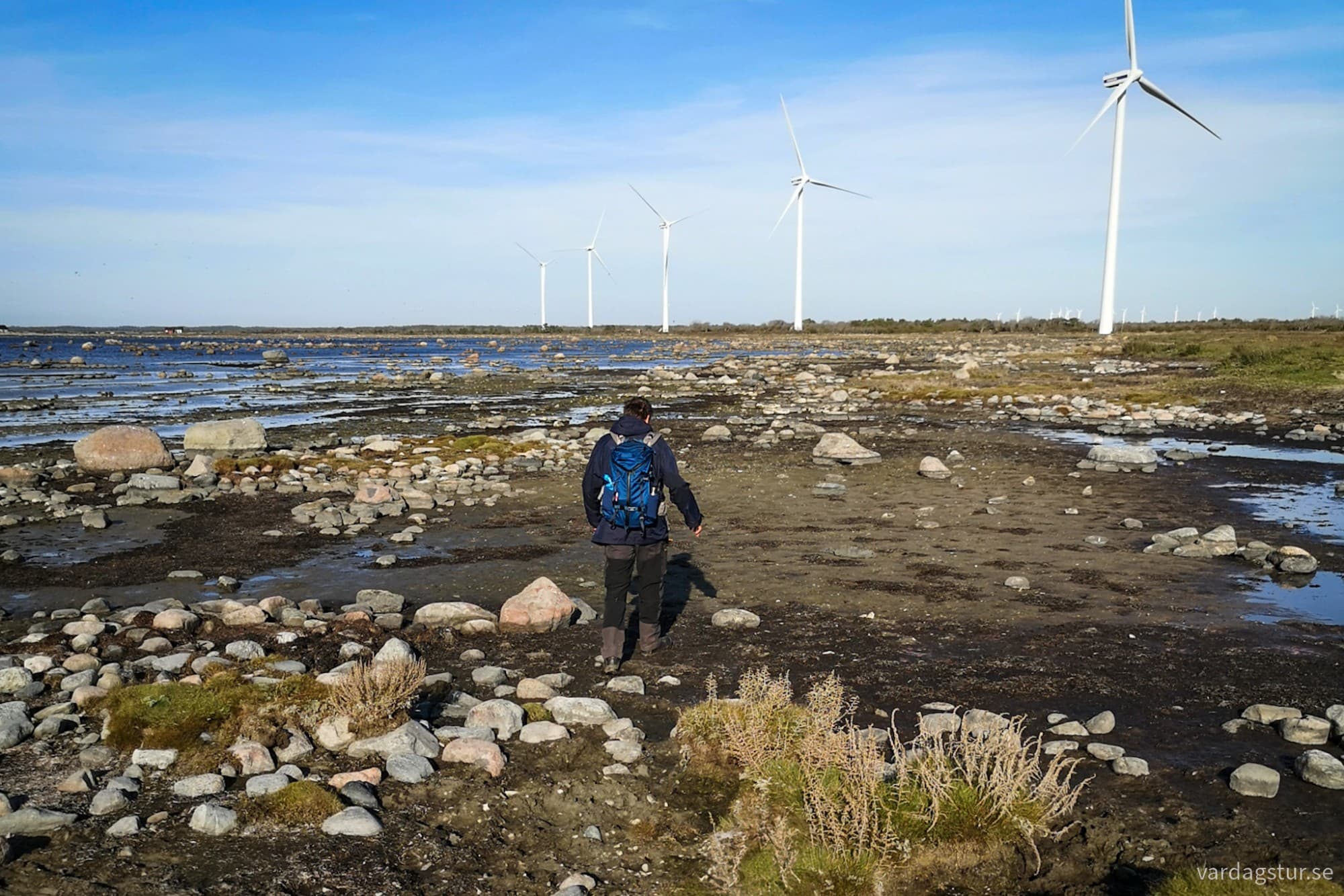 wp-17299256419102067294020049839543