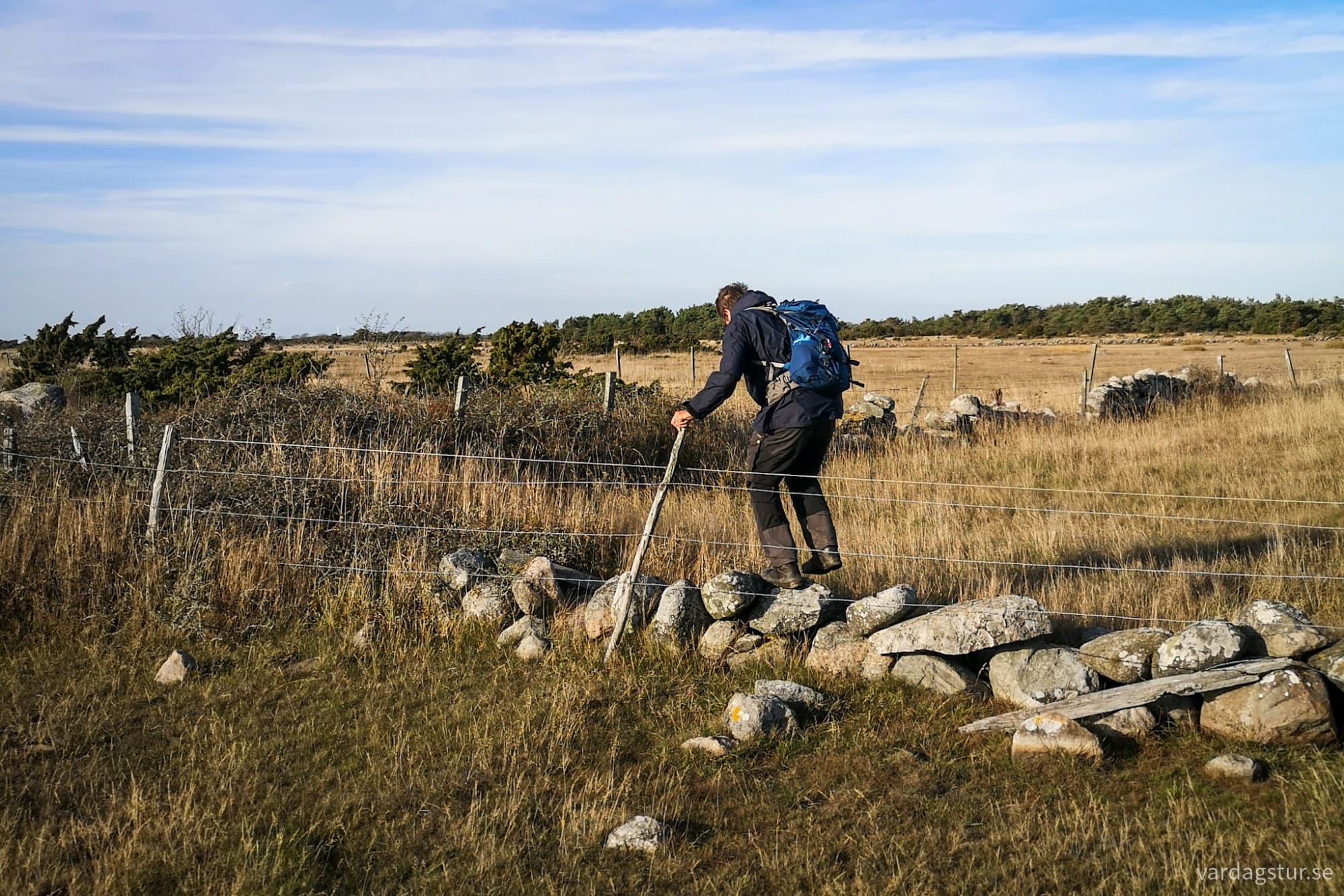 wp-17300504977873323329264508925636