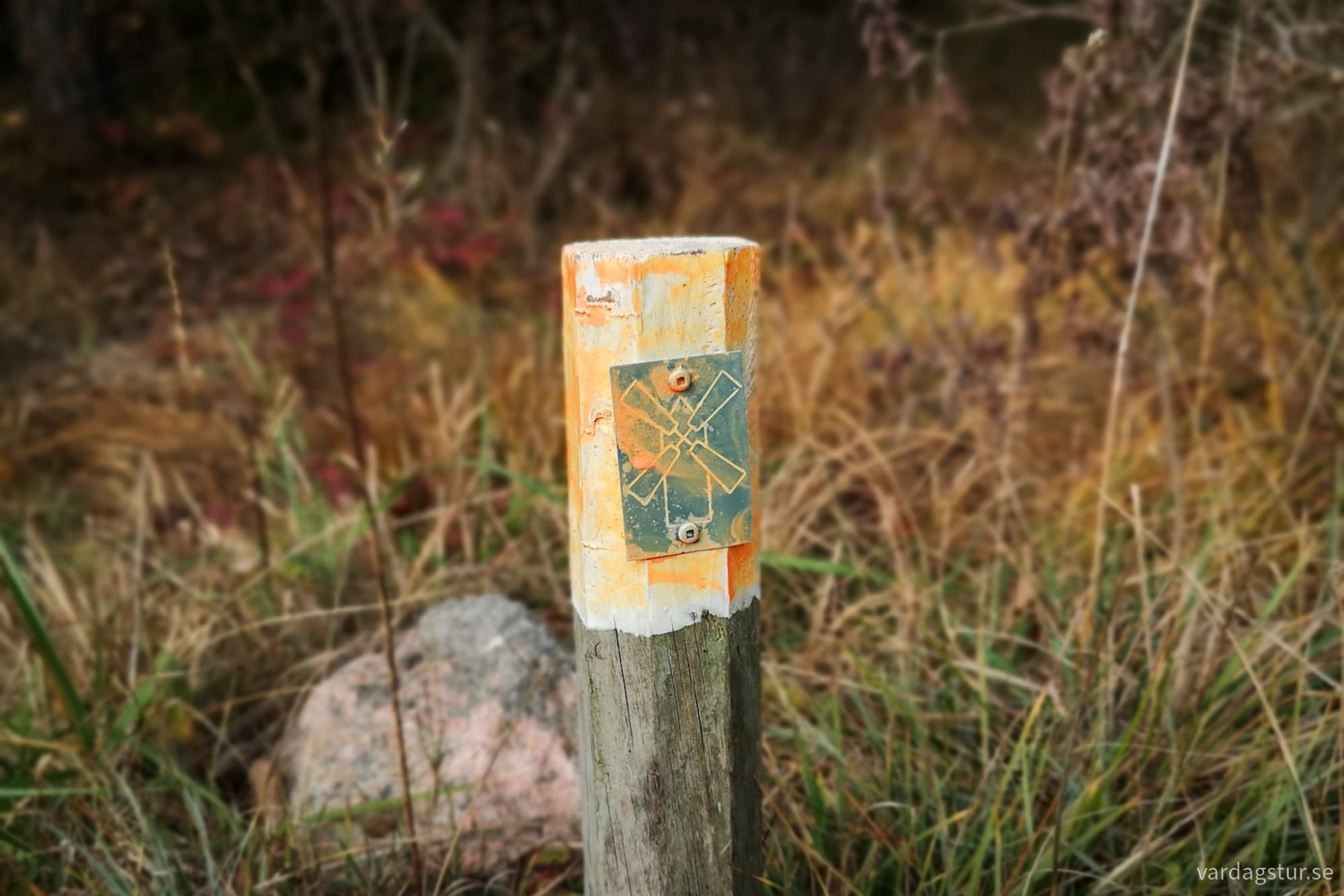 wp-17301381560228988065938598370470