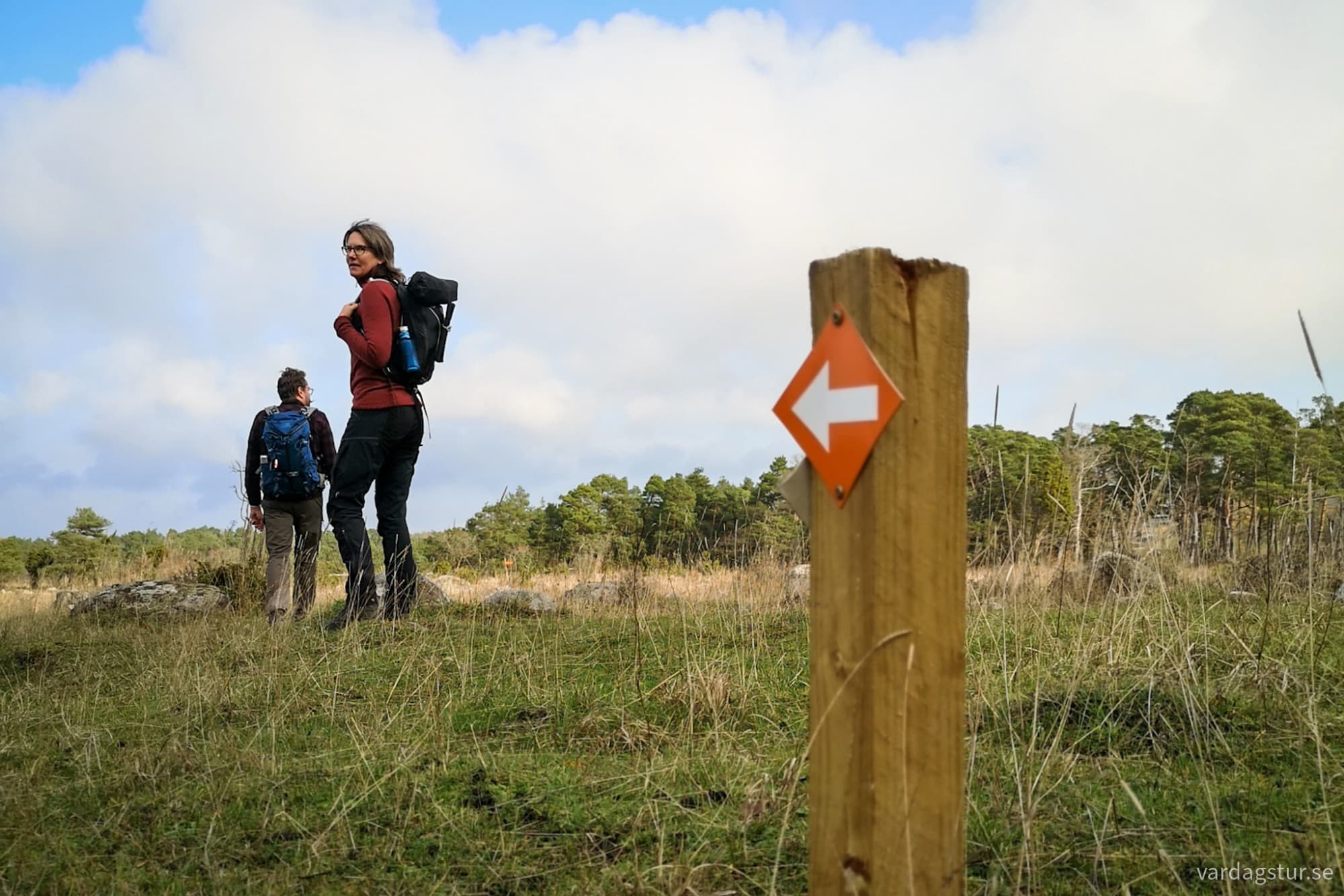 wp-17301381567114792001943700280885