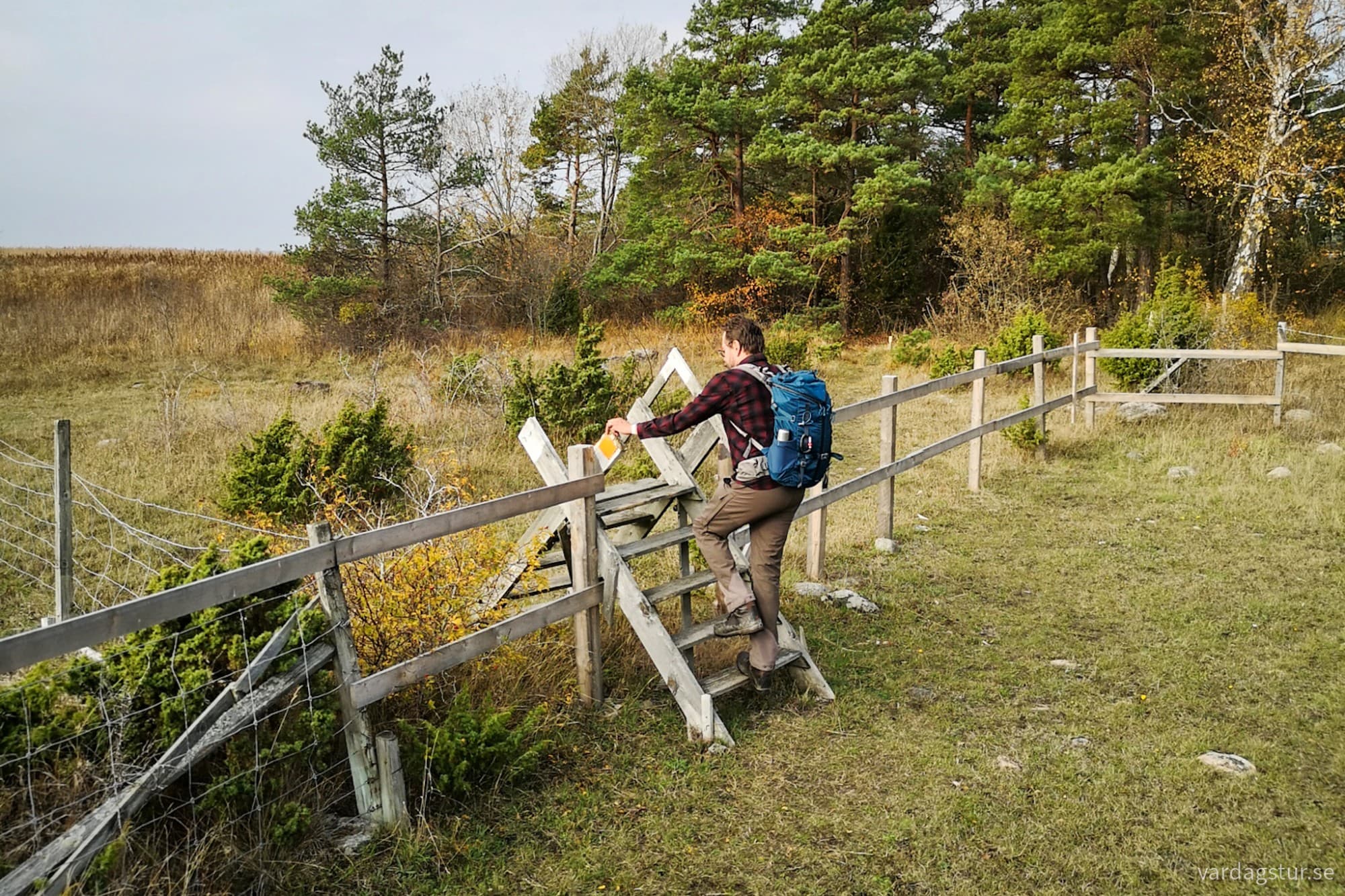 wp-17301381561946619617298488012889