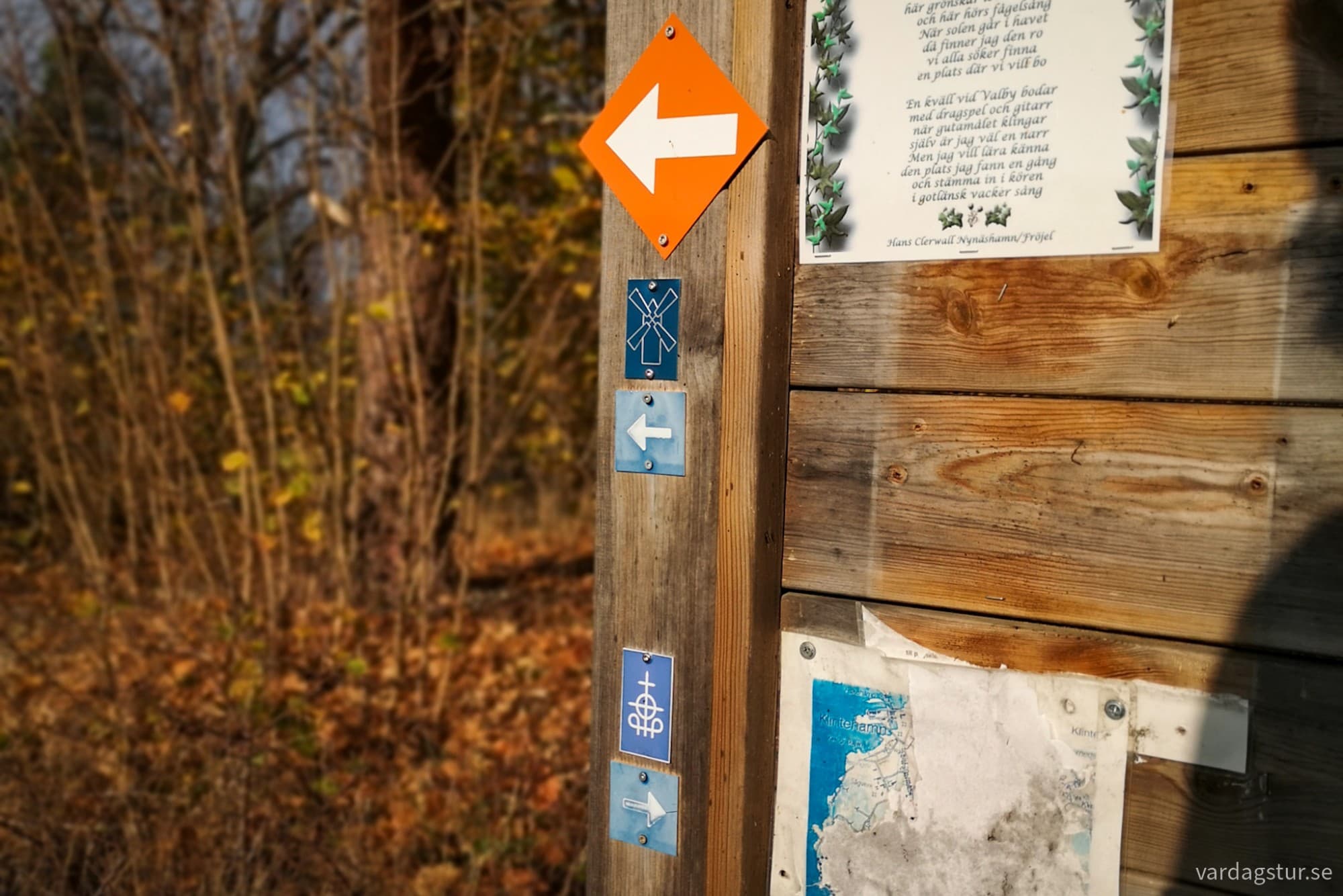 wp-1730138158054516450673586313207