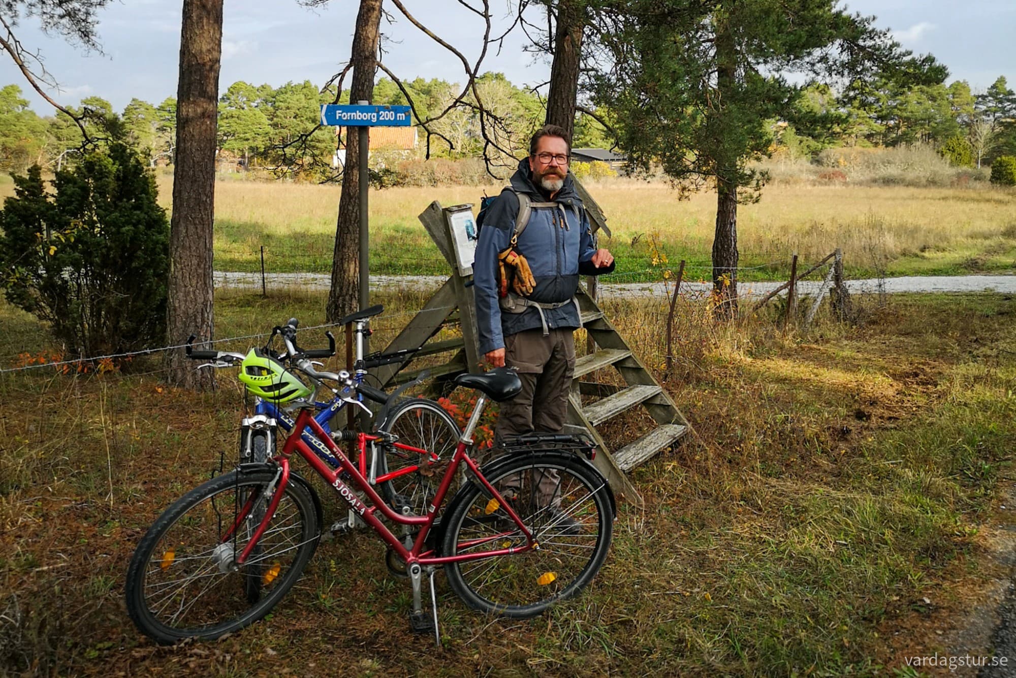 wp-1730138157772358031230266802813