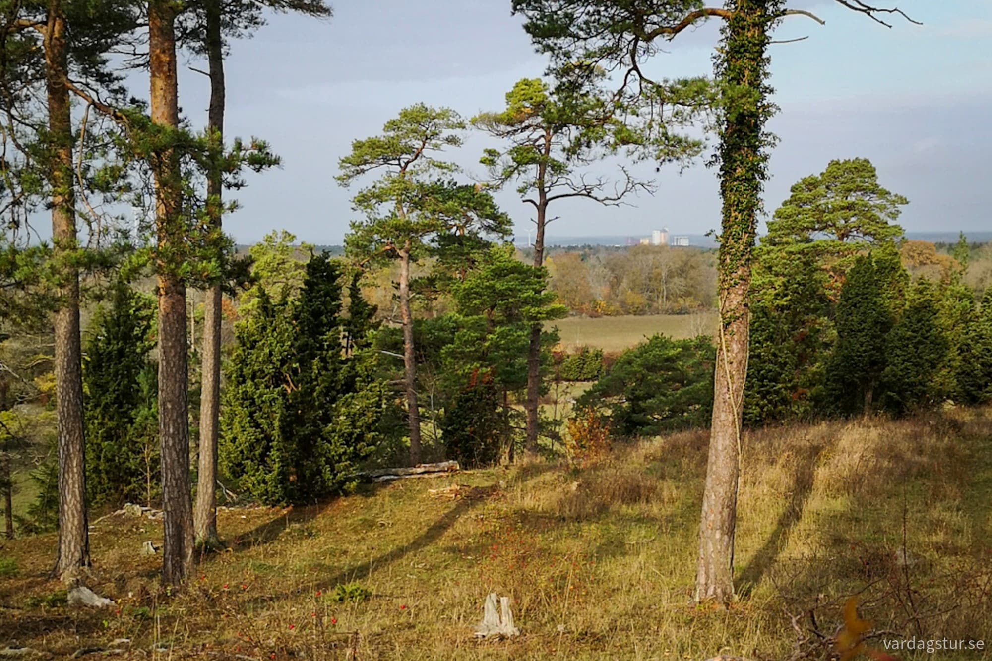 wp-17301381575221379284954165447862