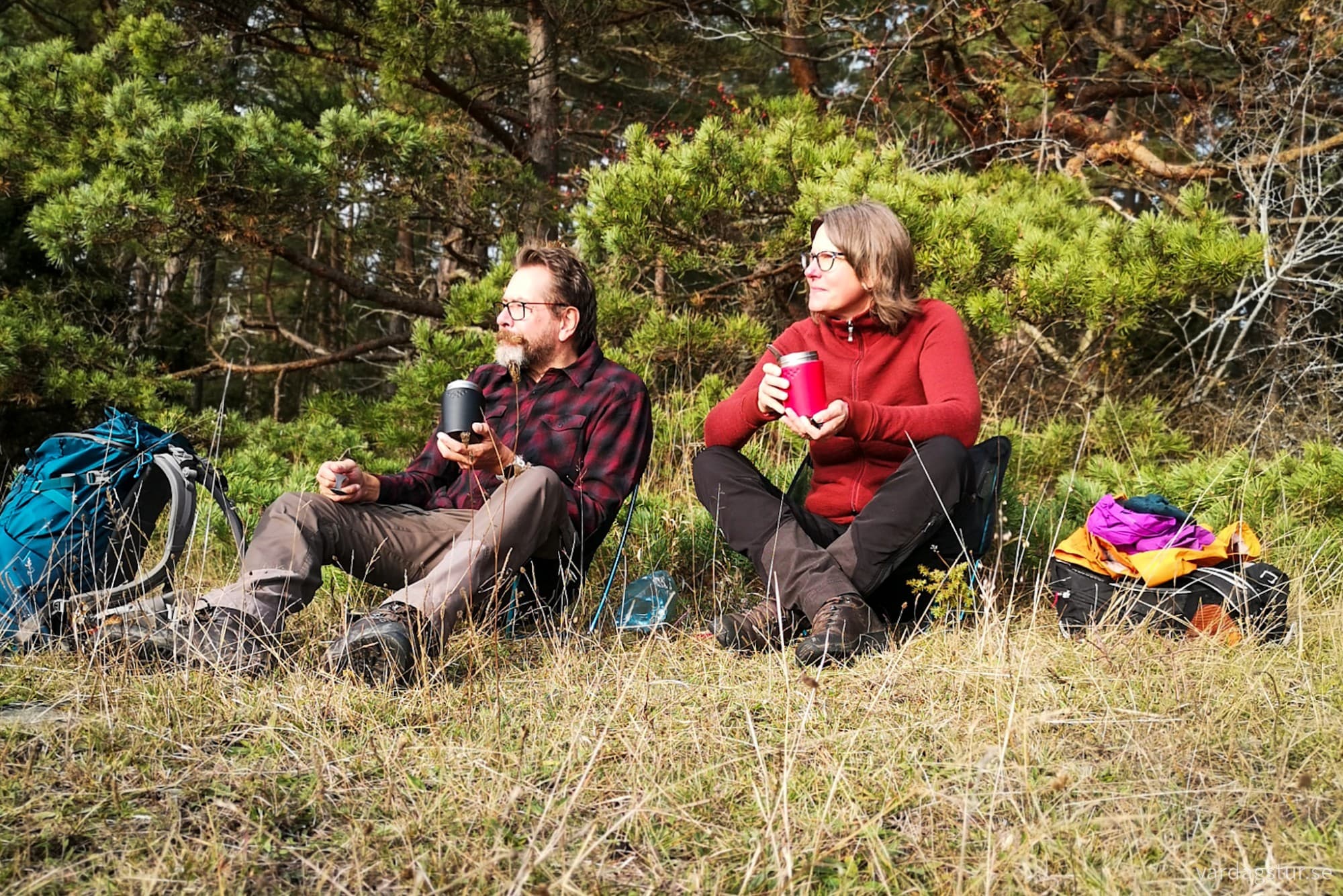 wp-17301381582831446222981526744905