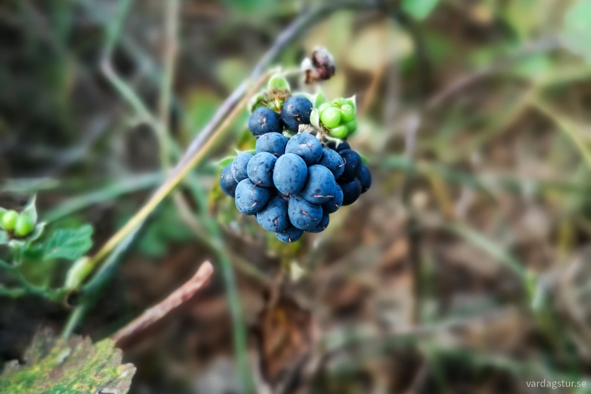 wp-17301382614853569143358063963596