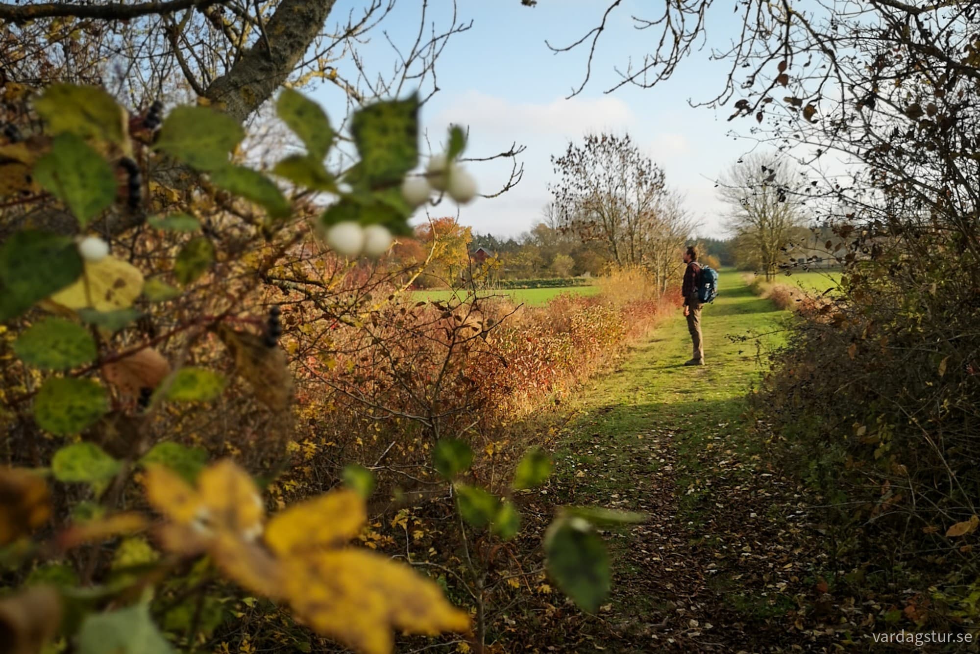 wp-1730138261618753987494312192321