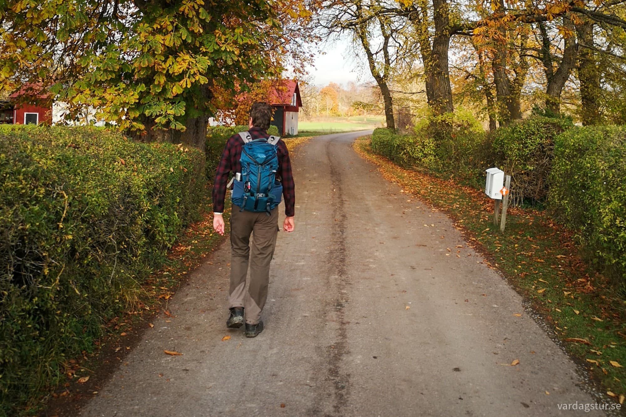 wp-17301382612806315306542948959124