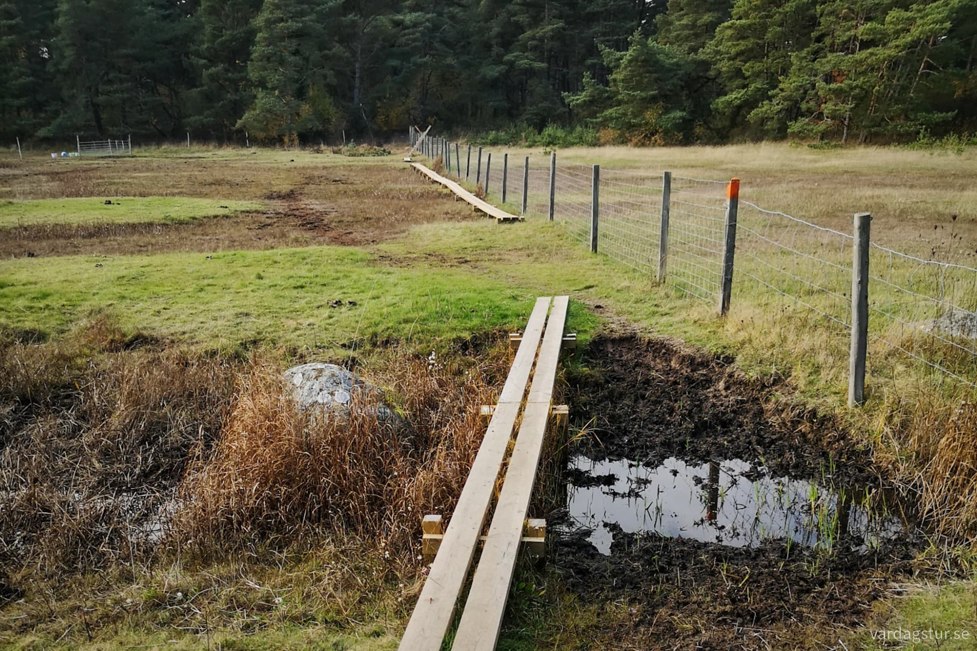 wp-17301382620613051763864750090715