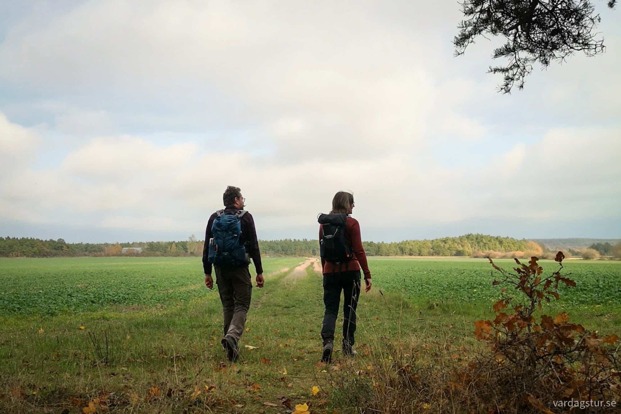 wp-17301382625572379311605929460178