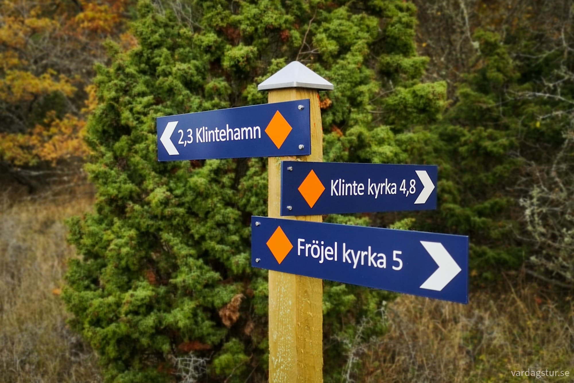 wp-17301382630139203879845790934767