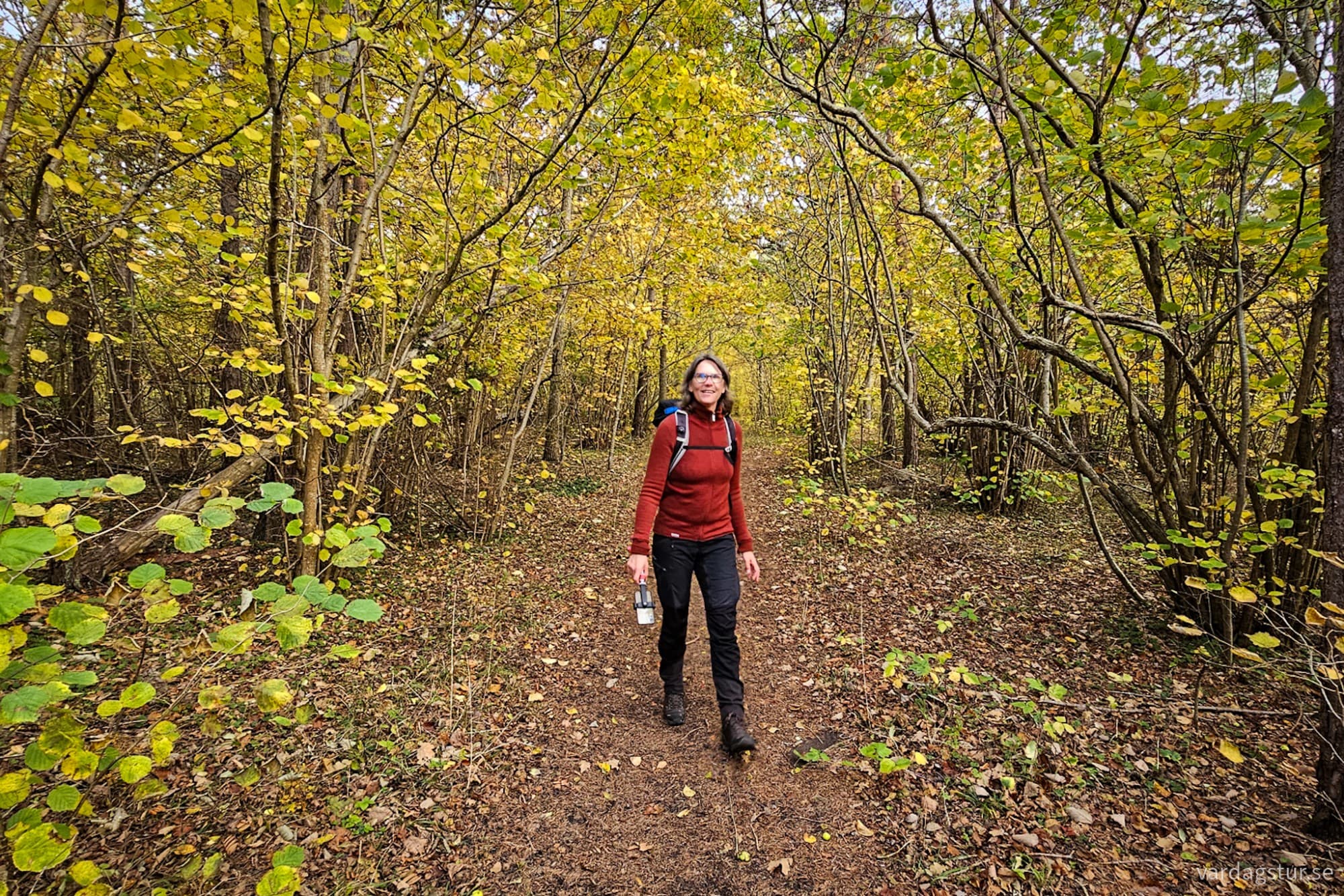 wp-1730138800271694612956647901705