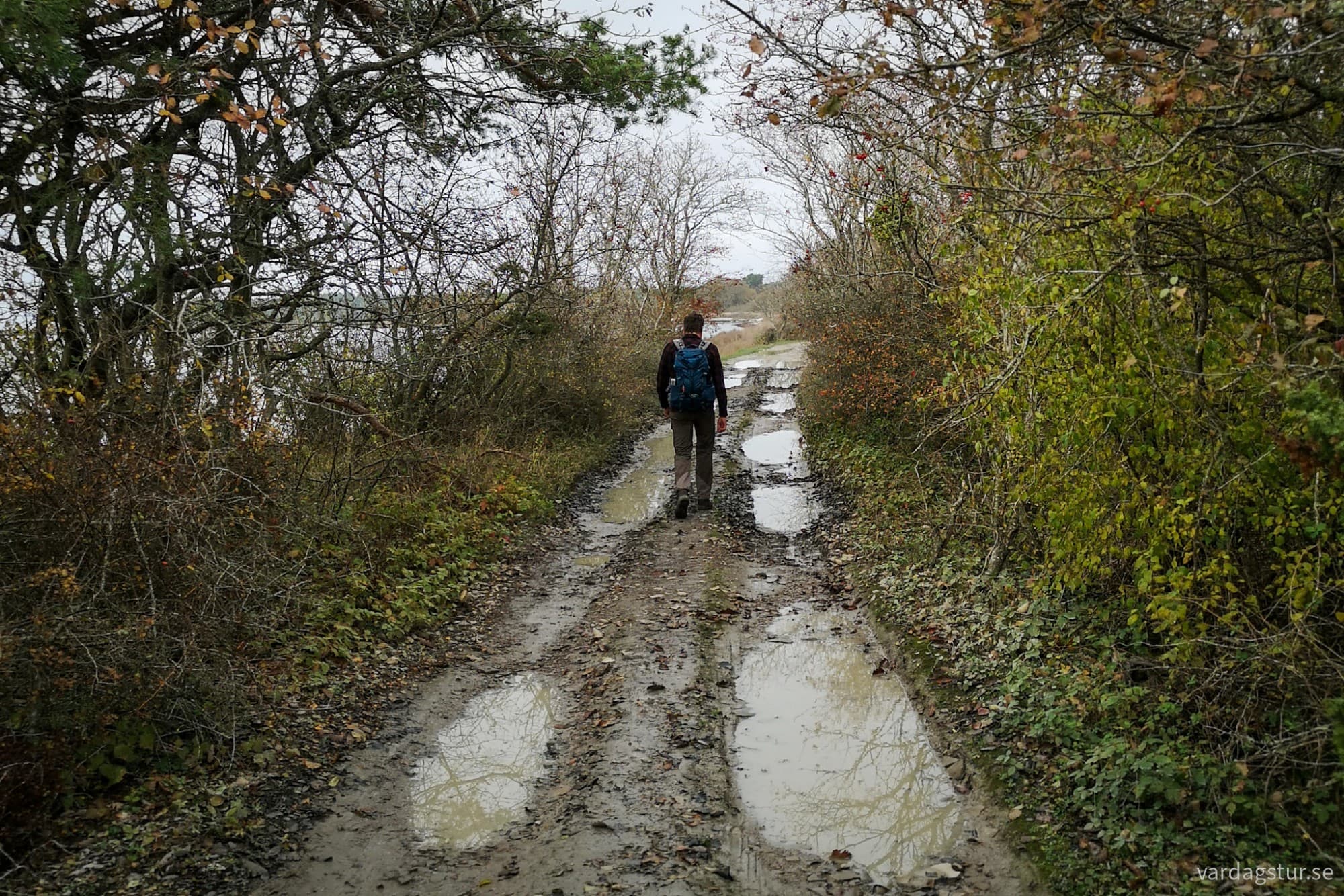 wp-17301388346371561812221006120633