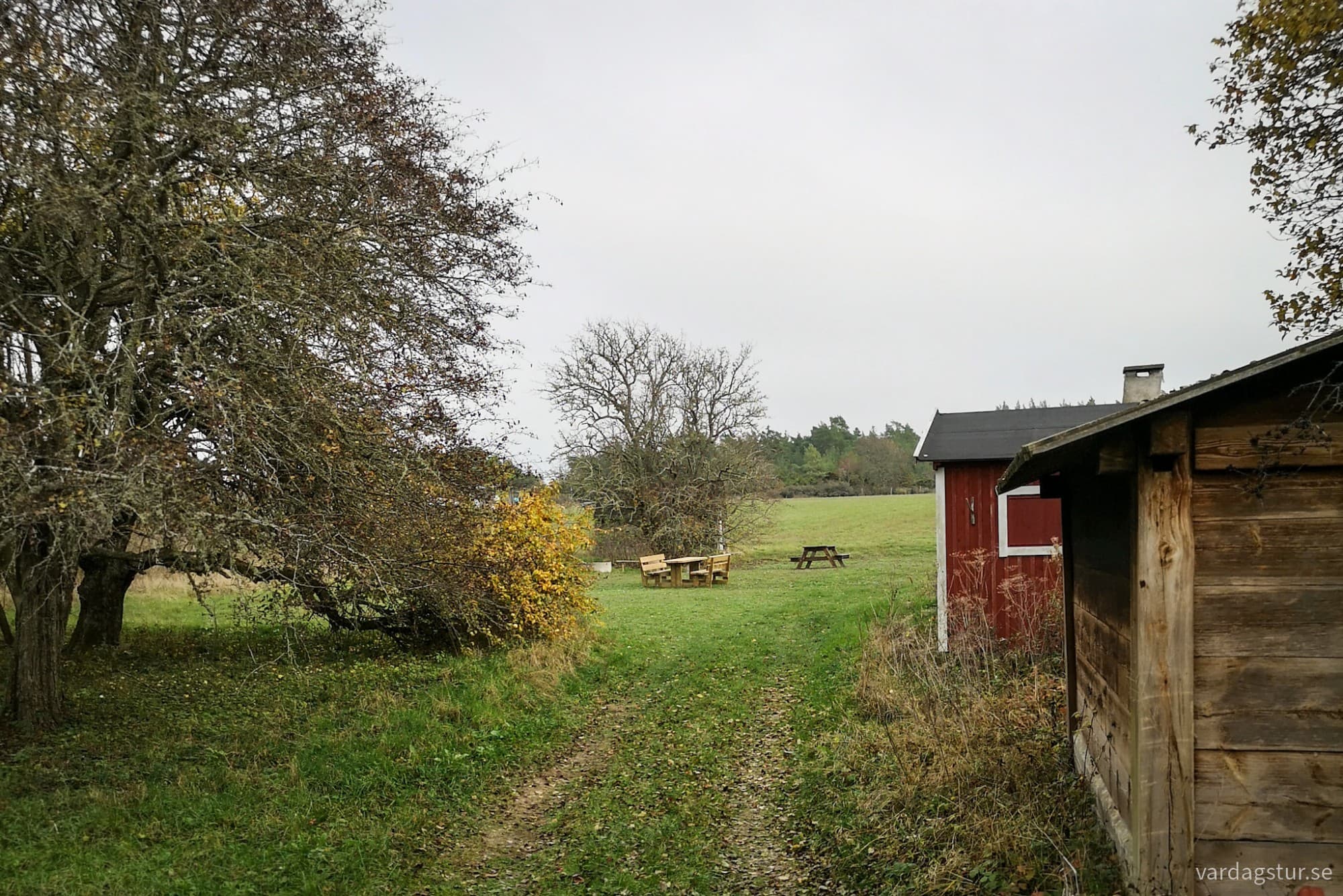 wp-17302270915642549436309924322435