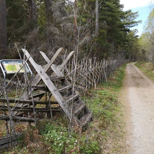 1-img_20200517_133934-1