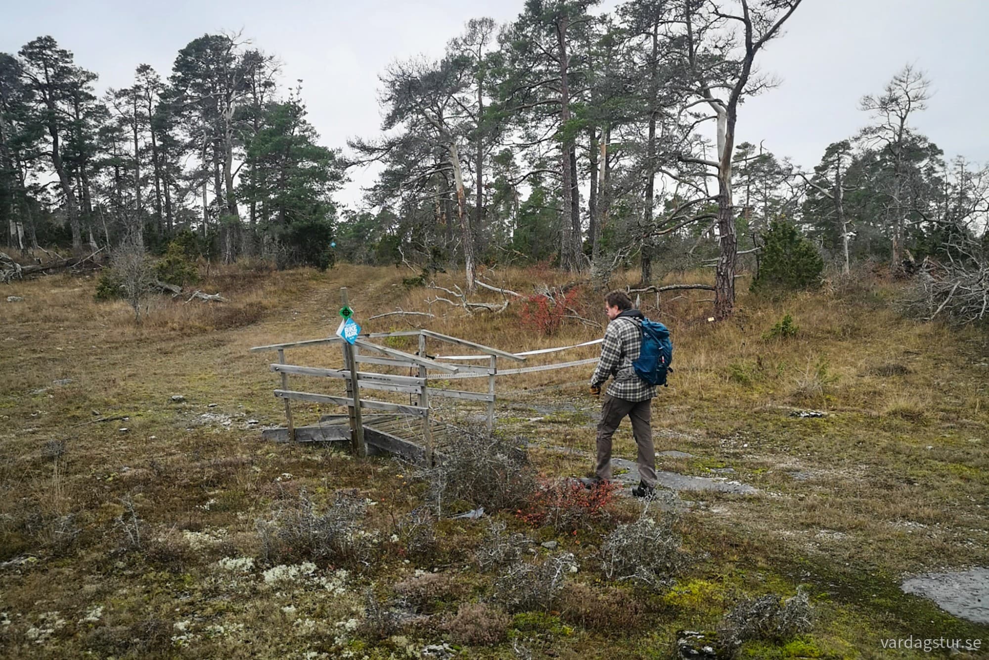 wp-17316660201501021561685992739422