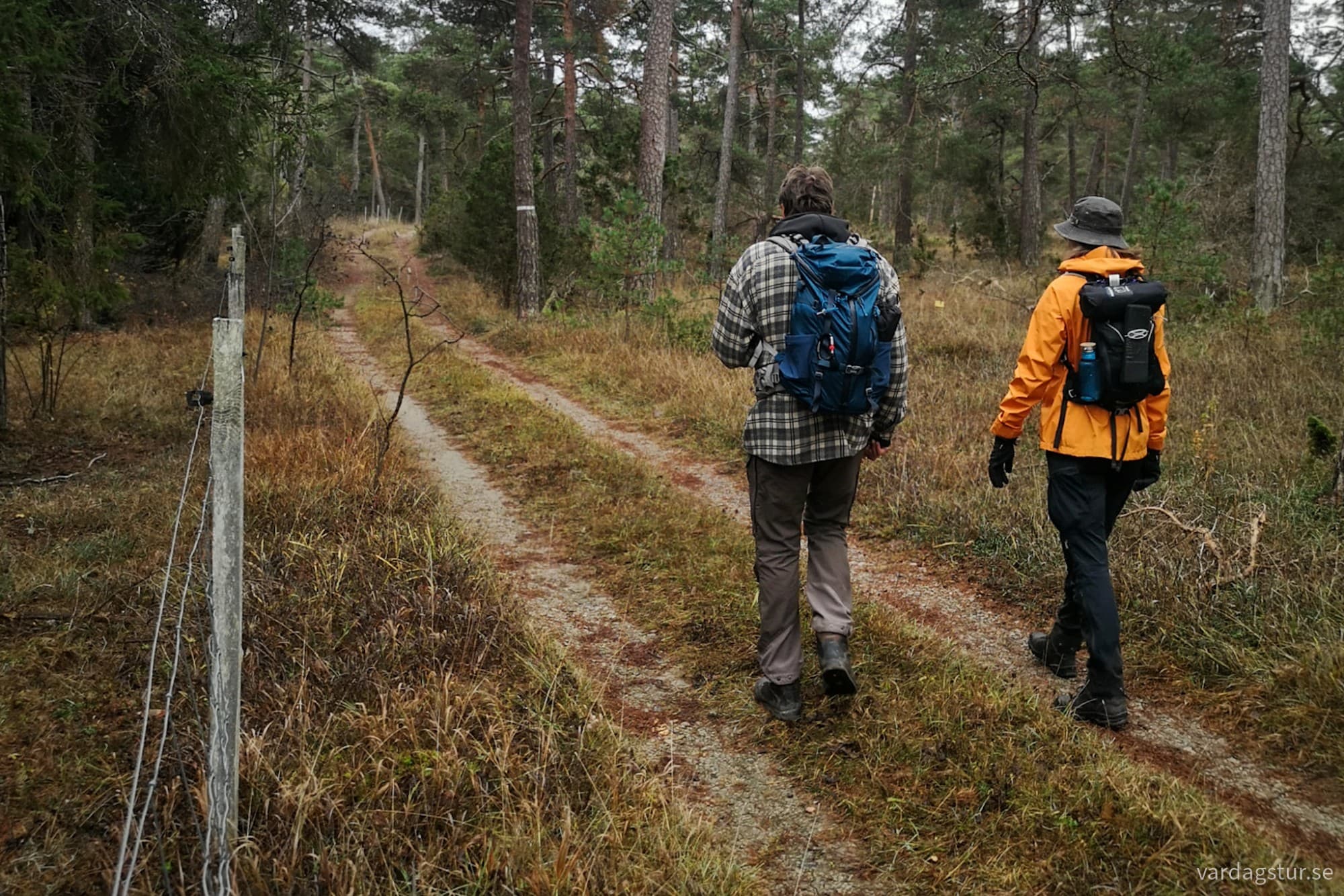 wp-17316660203732493421613506646221