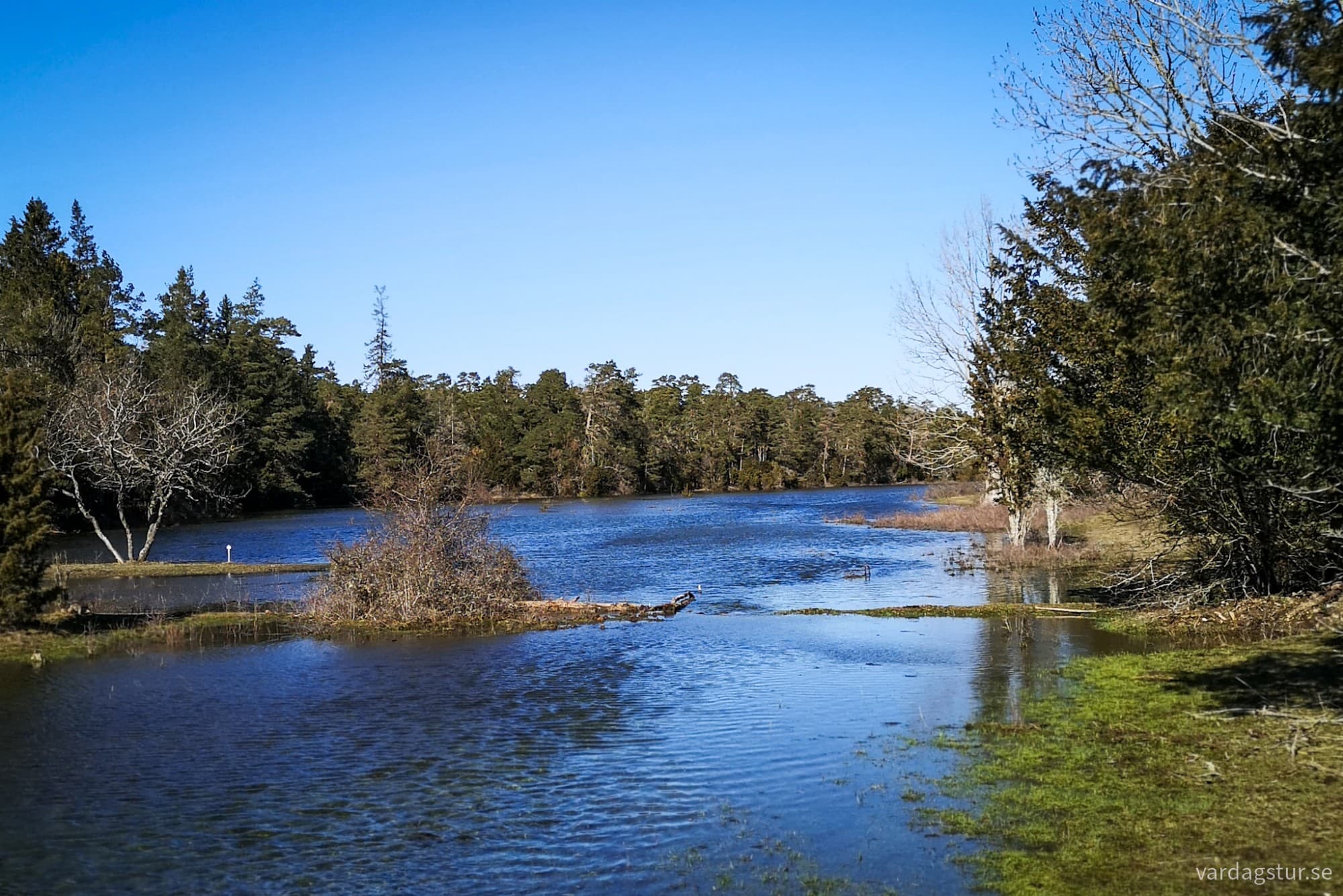 wp-17316748695707667227476859504052