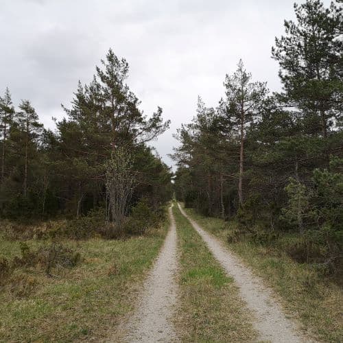 1-img_20200517_160954-1