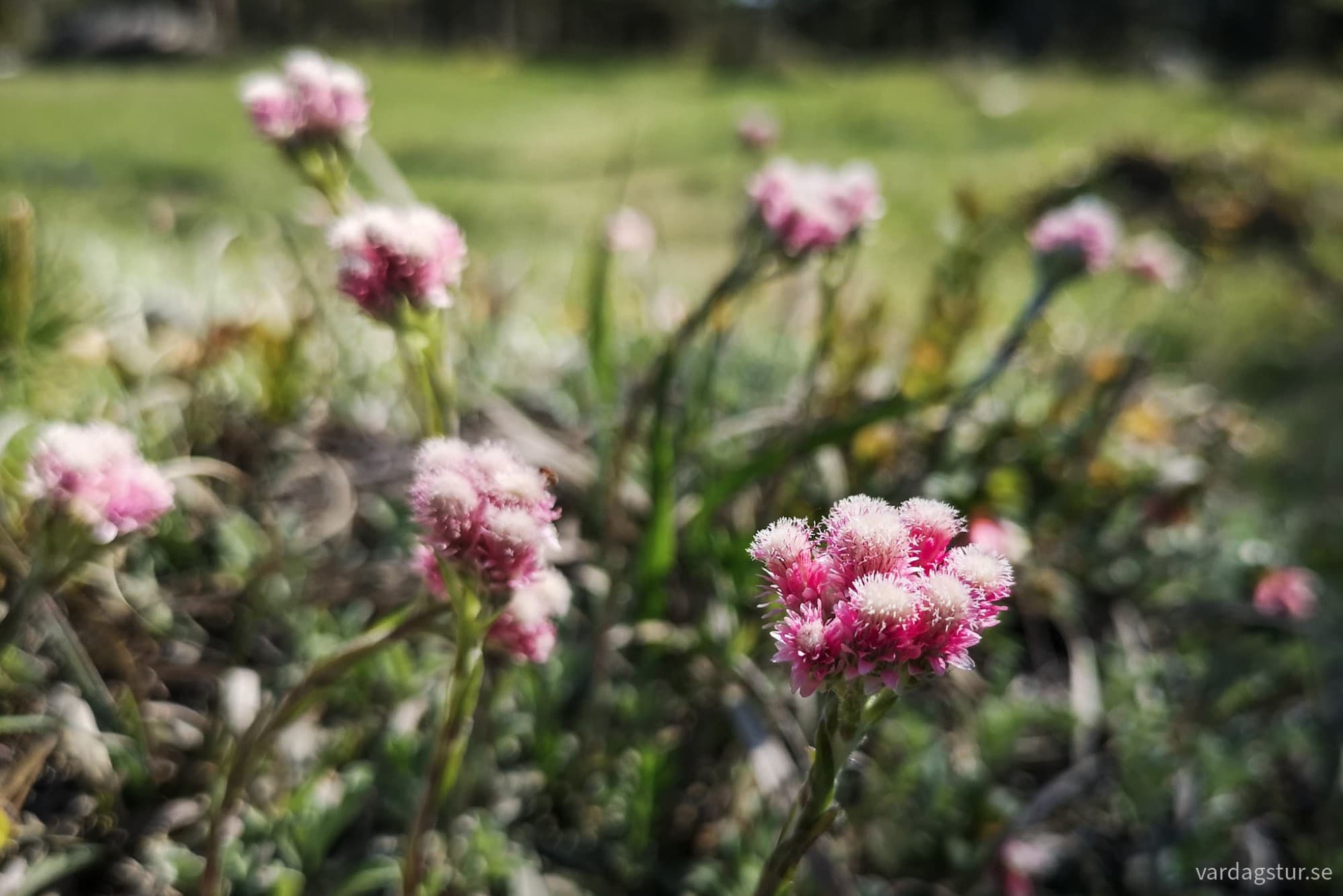 wp-17316843740446014132908996919474