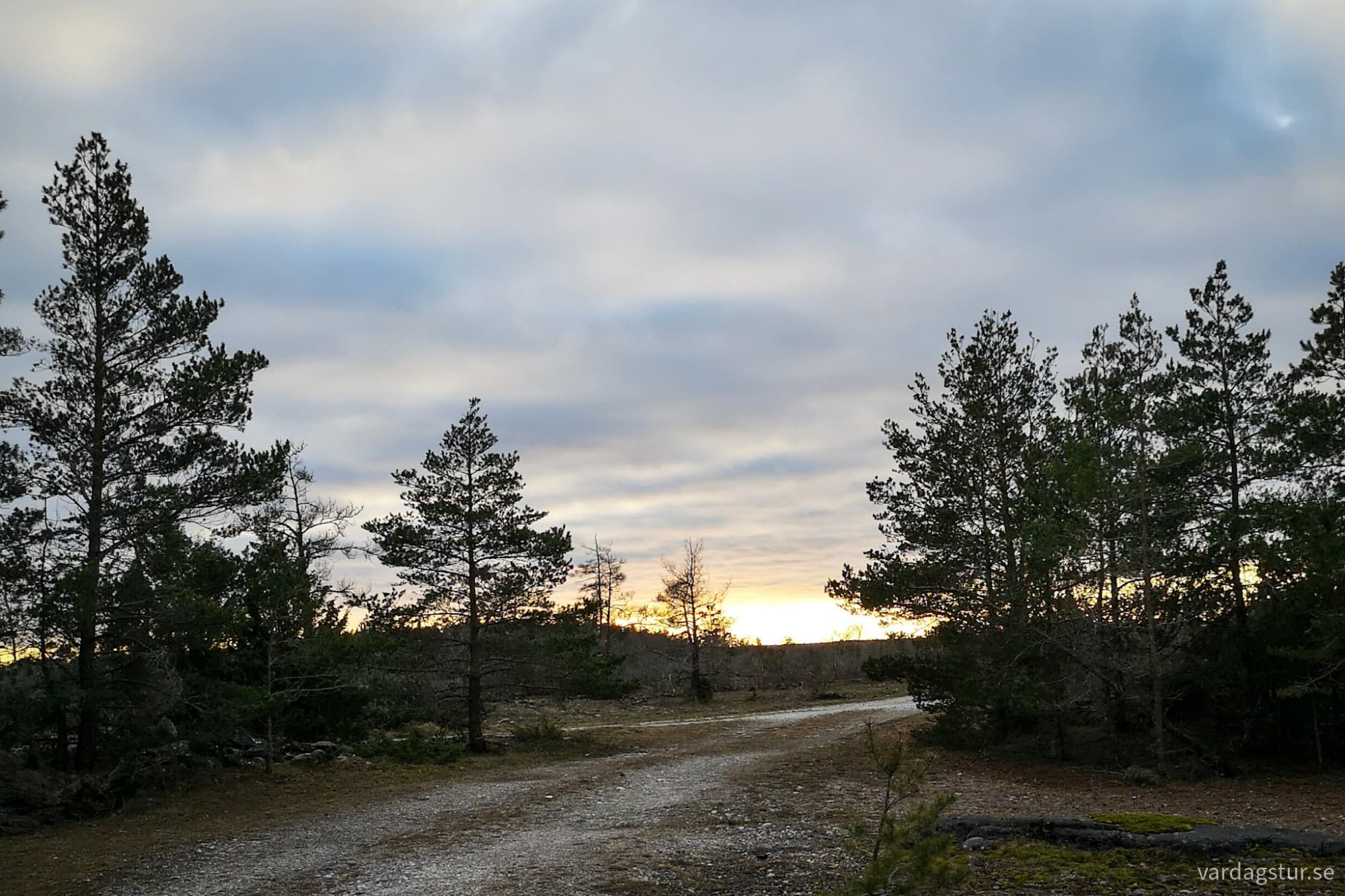 wp-17316891332432339010866979704313