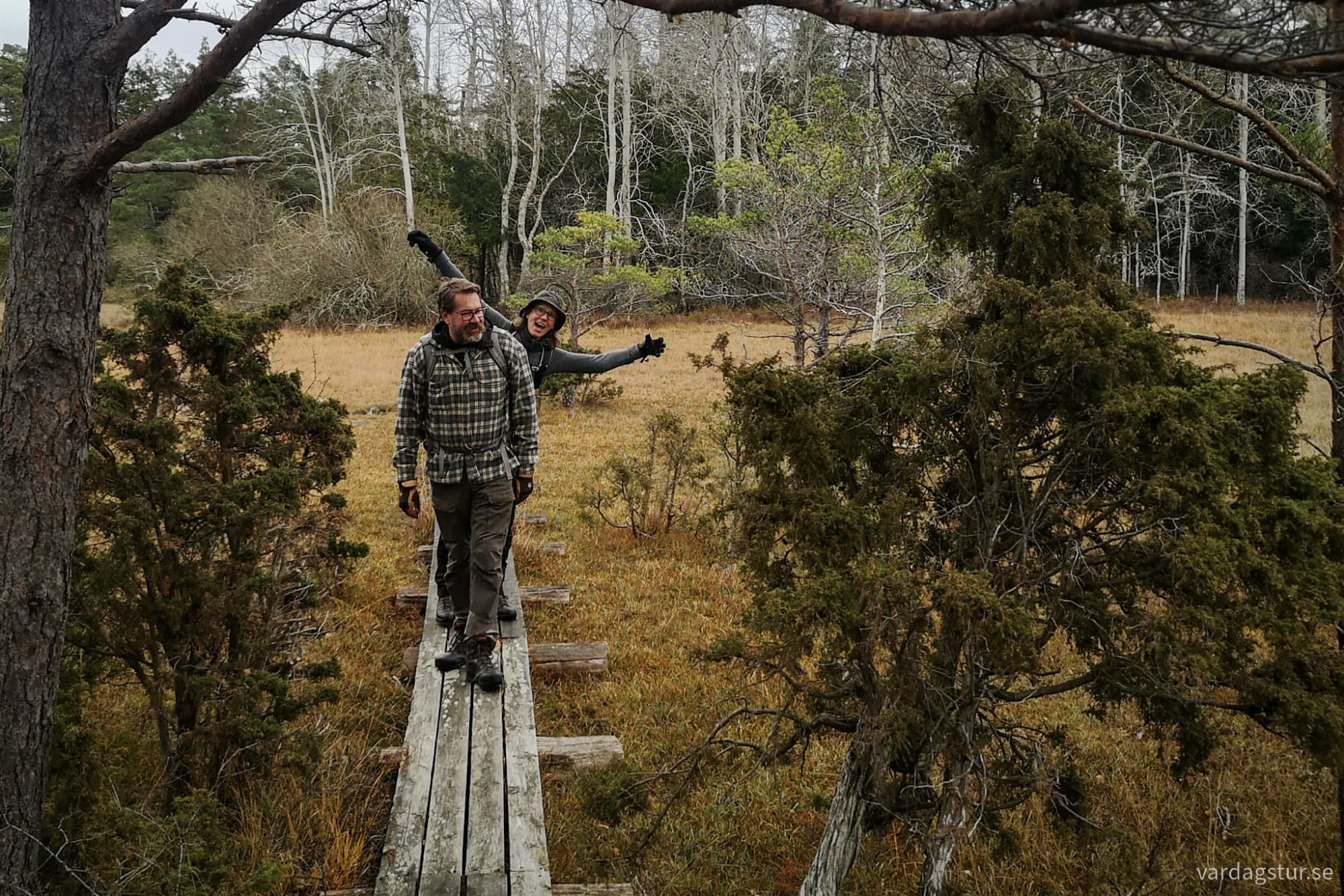 wp-17317652174347661051023347473538