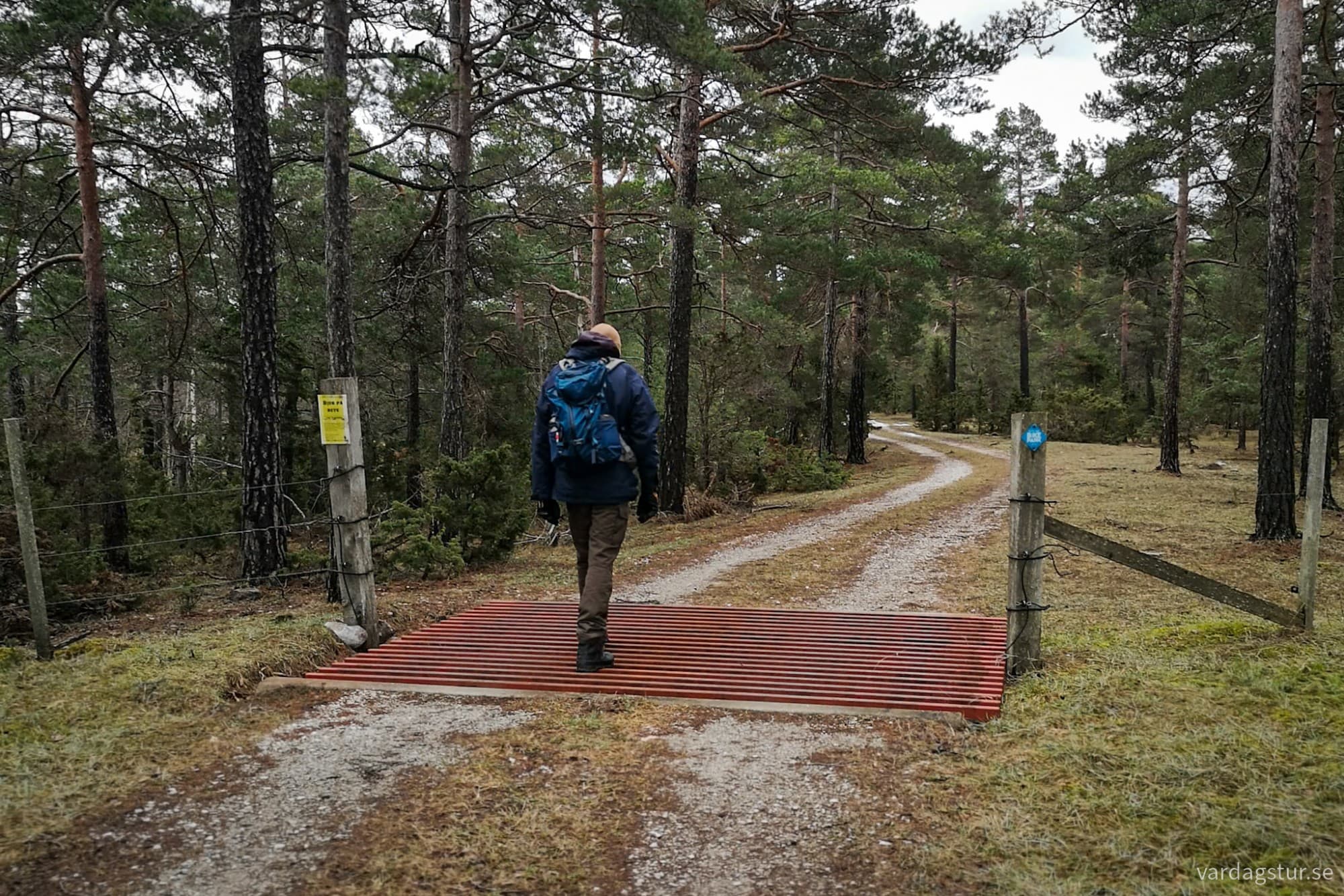 wp-17317677592343297448135345048847