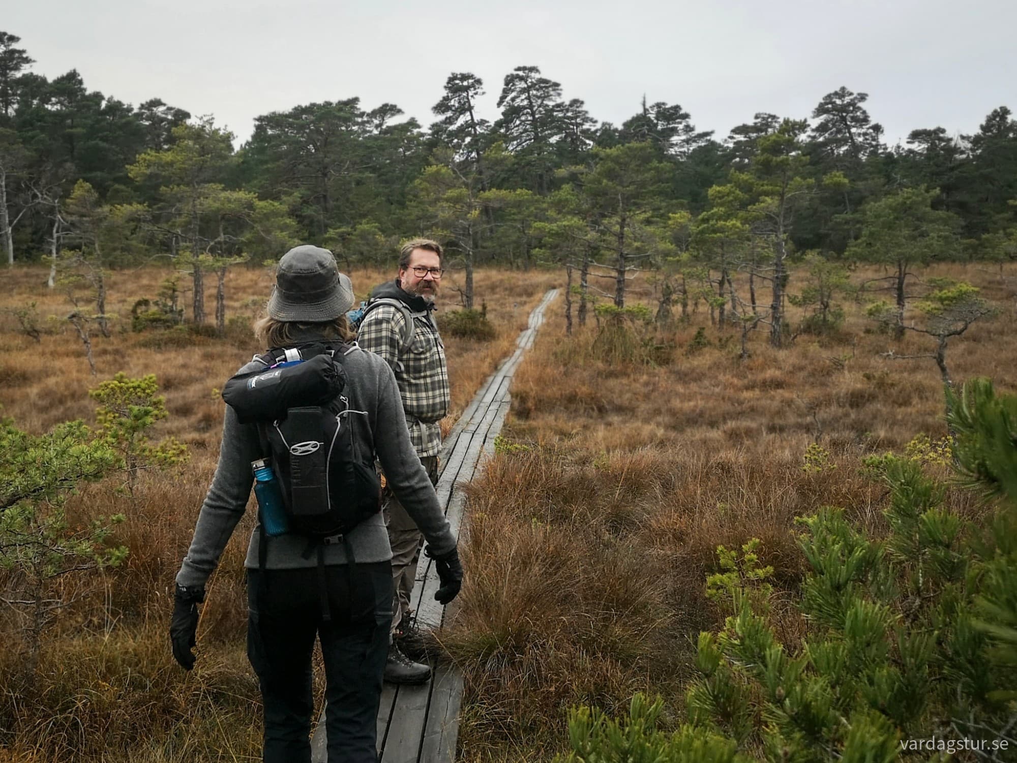 wp-17317706986398117779277597679019