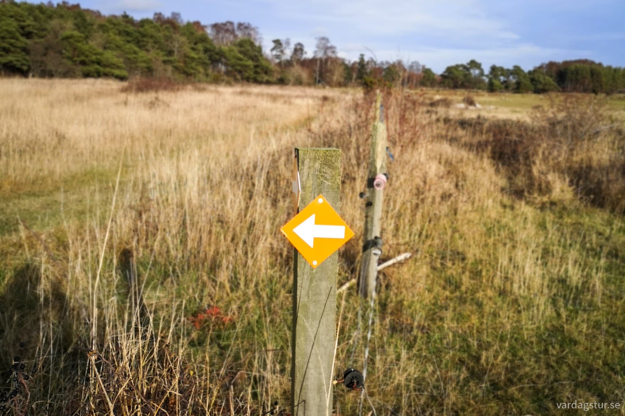 wp-1731850018735548188424556588854