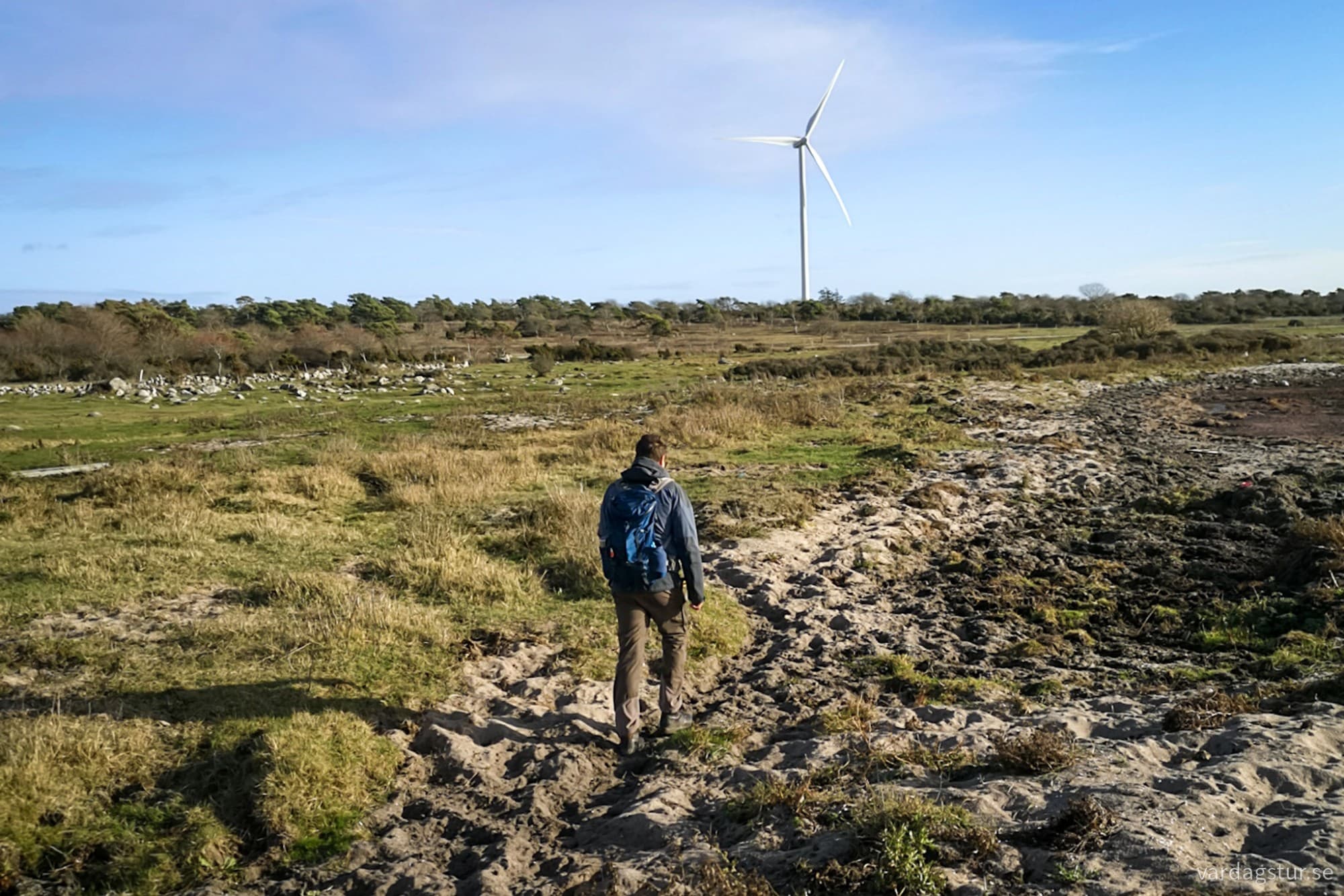 wp-17318500185394966113123222265754