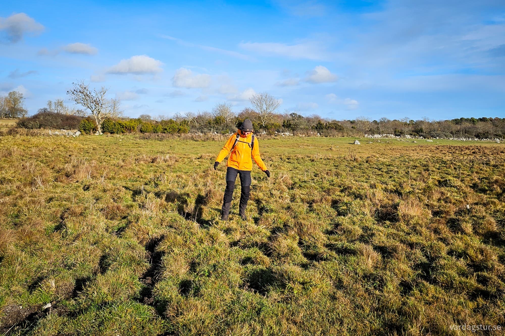 wp-17318500191065150295404720778741