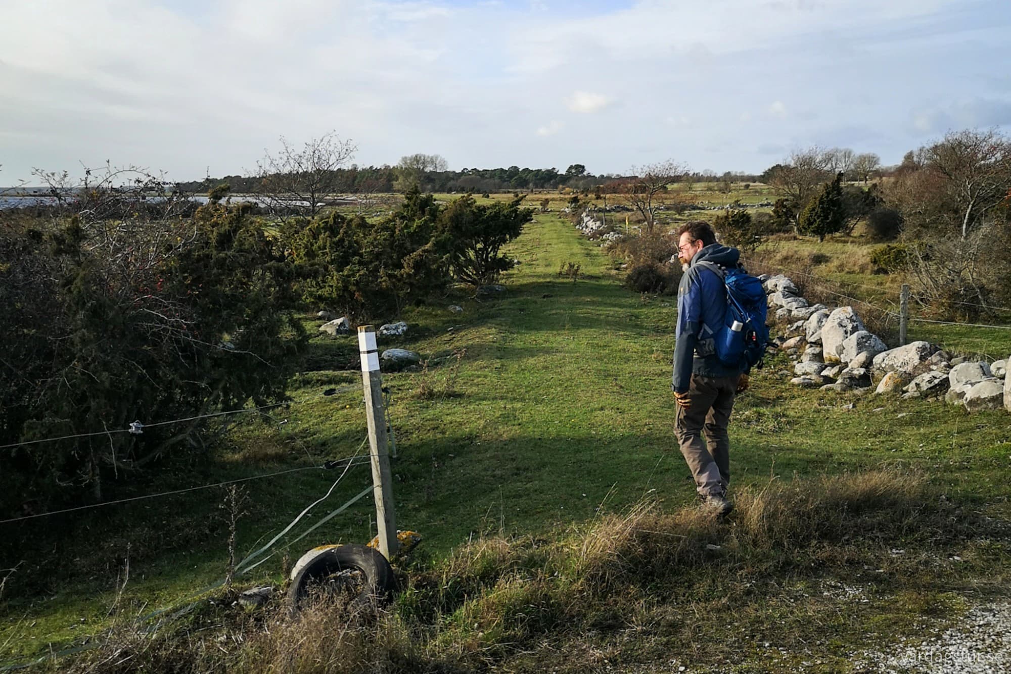 wp-1731850020103715982243705704077