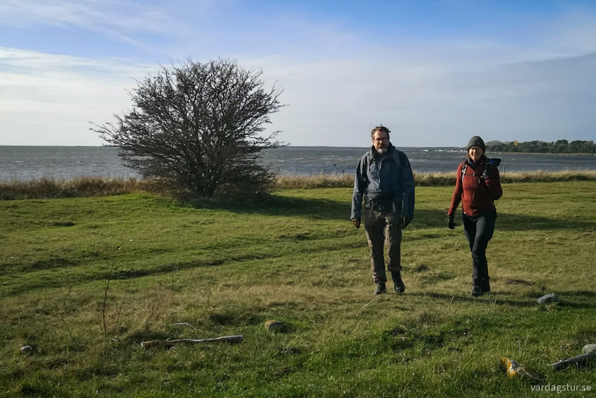 wp-17318500181321962214448702866832