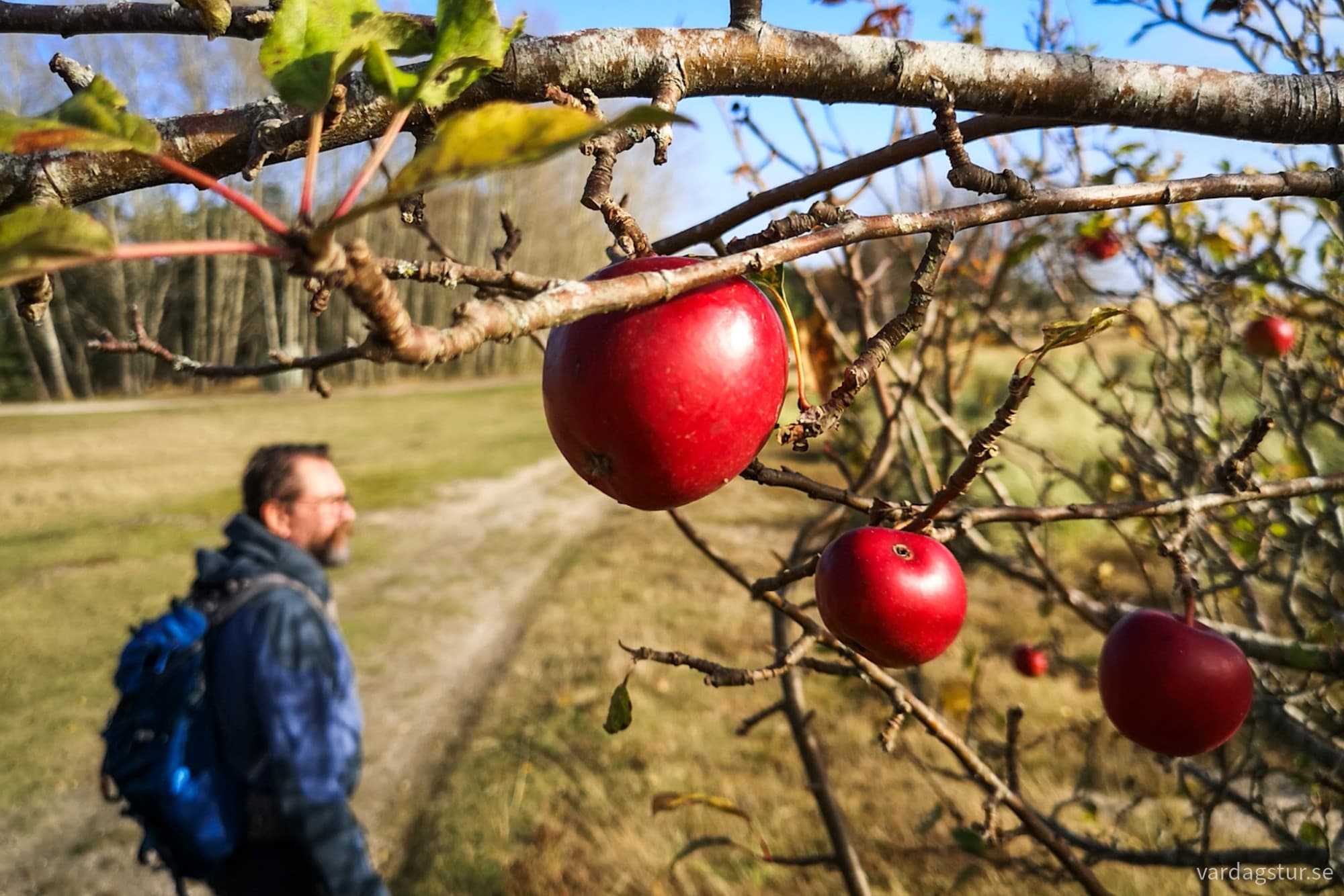 wp-17318500197225388999829077952297