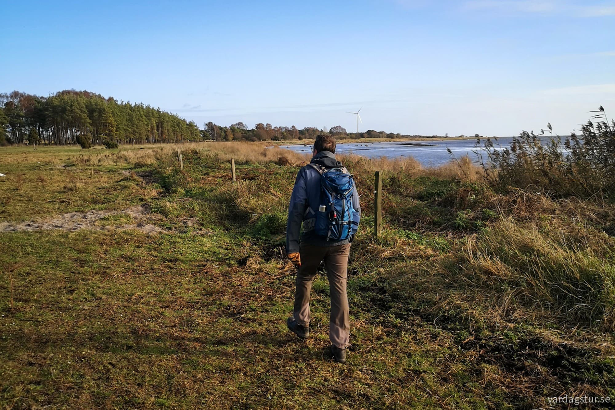 wp-1731850019893887242870730963161