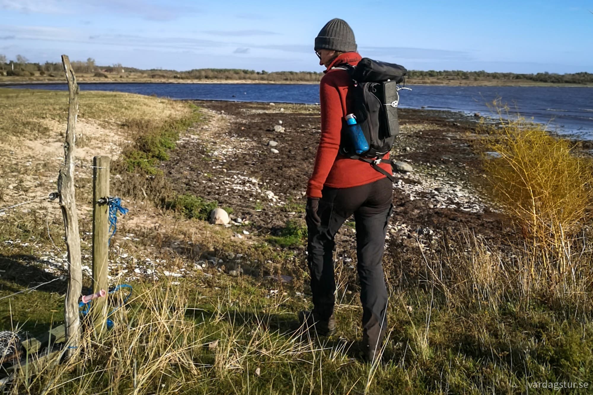 wp-1731919876027174283760679672183