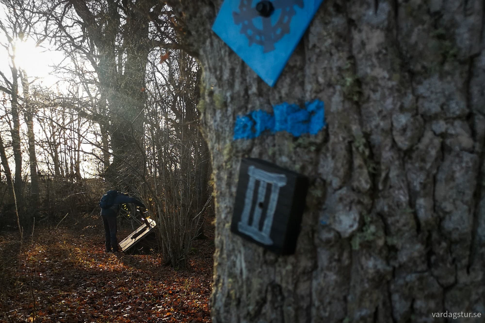 wp-1732130925321391900763169710527