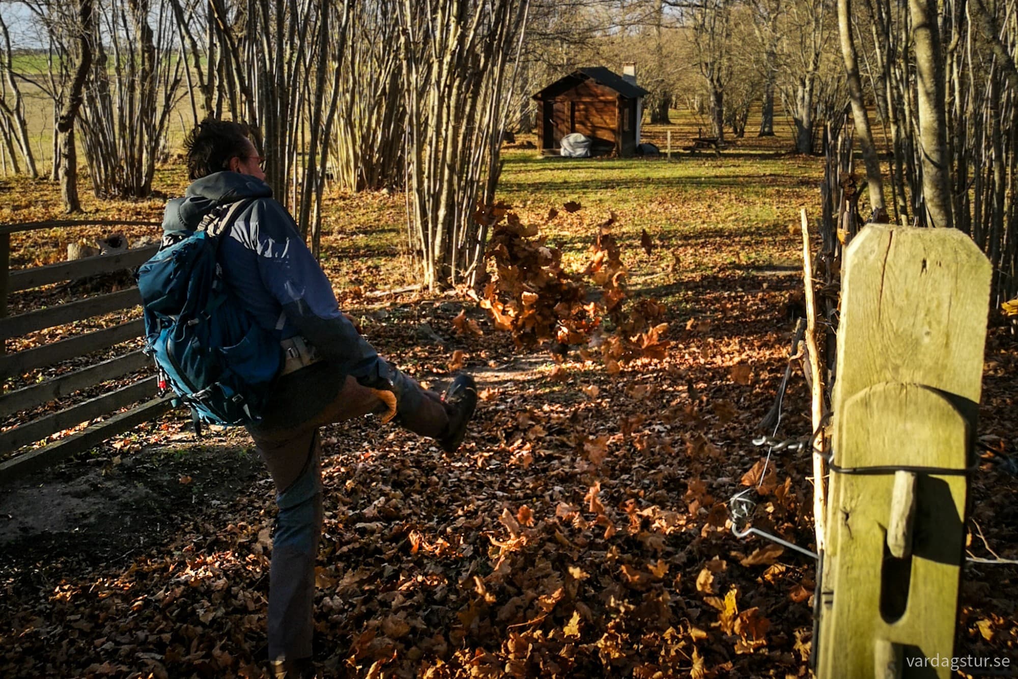 wp-17321309255359159582644110954653