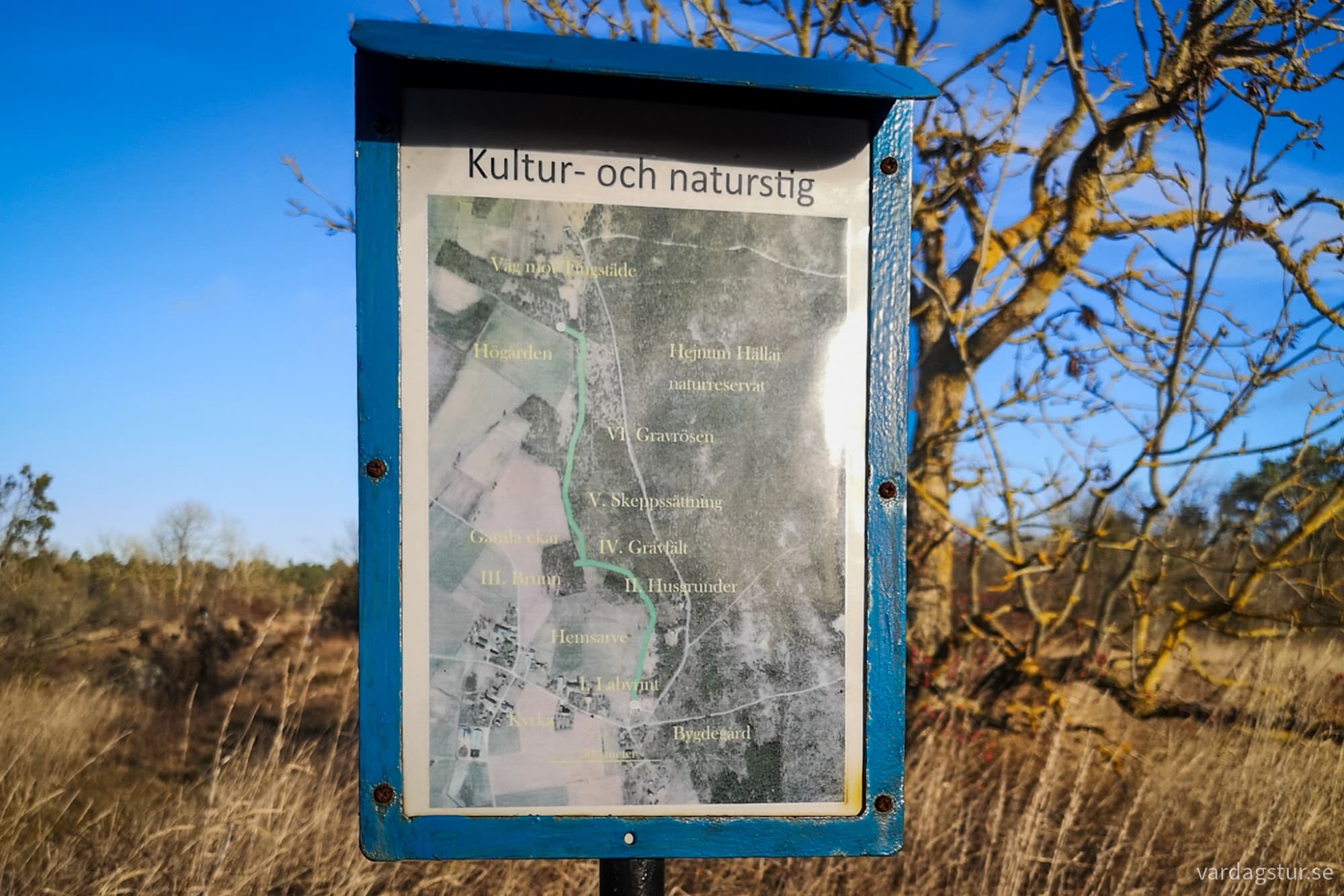 wp-17321309264784083526828170662613