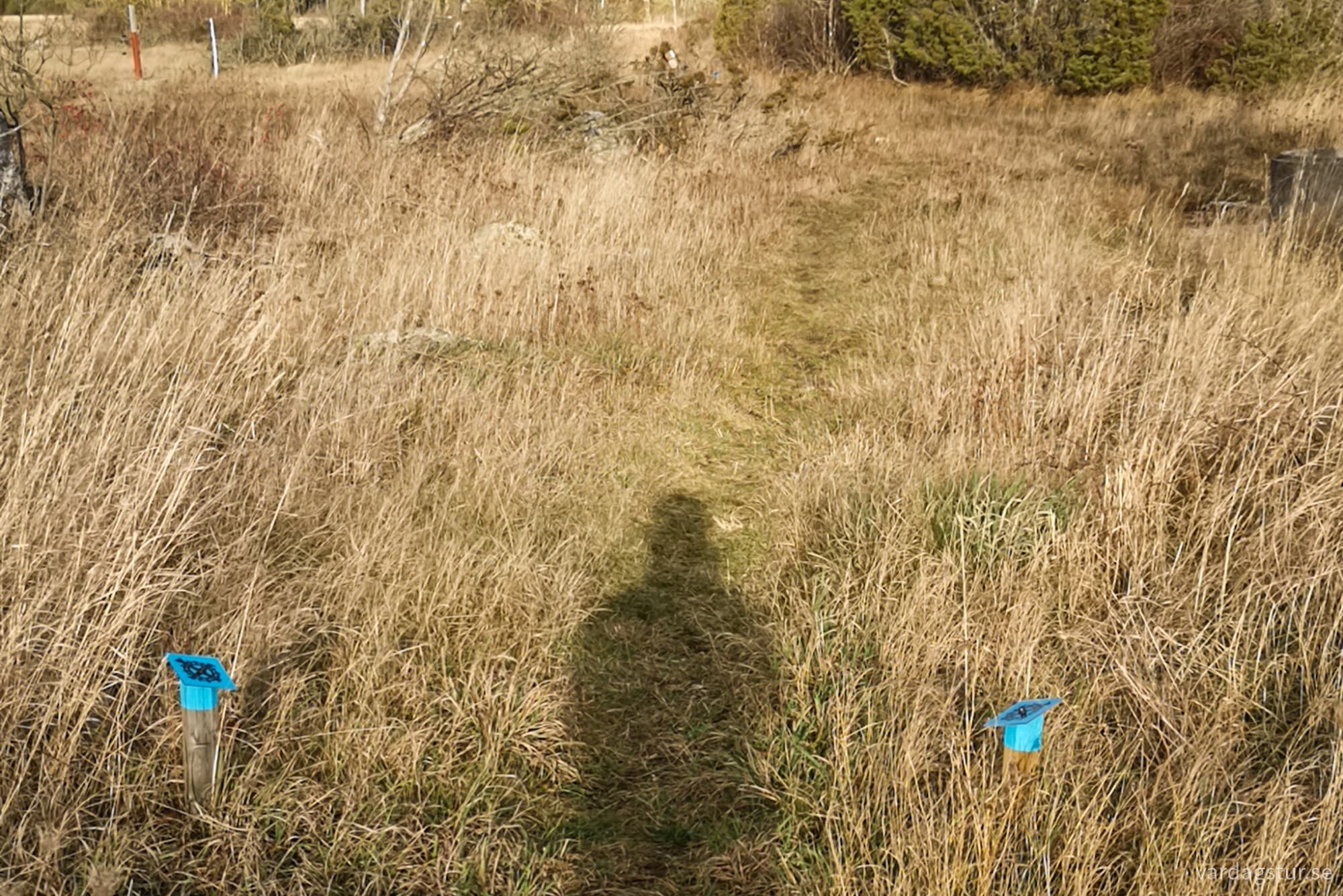 wp-17321309266421013280904421022438