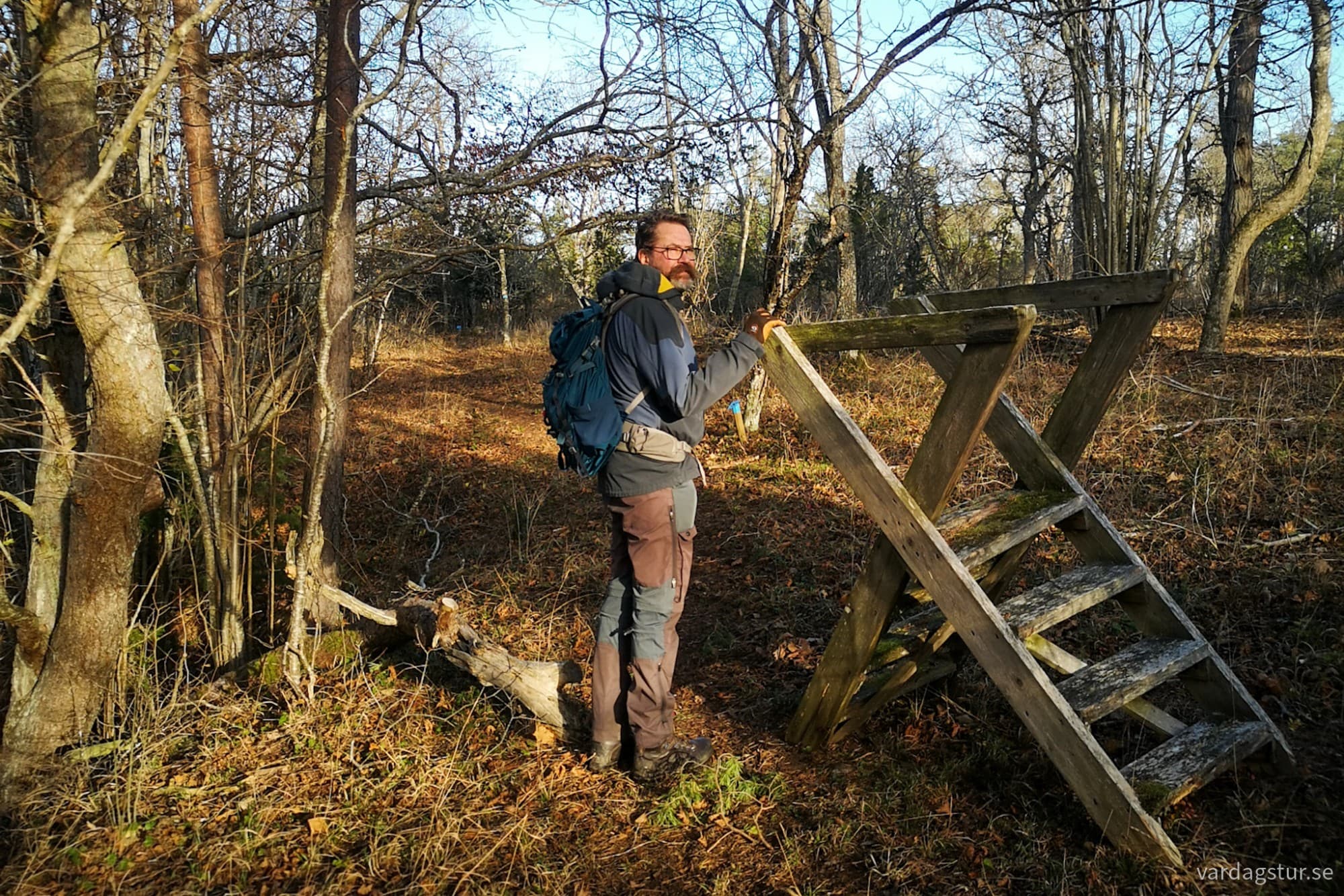 wp-17321309272028824993662335552065