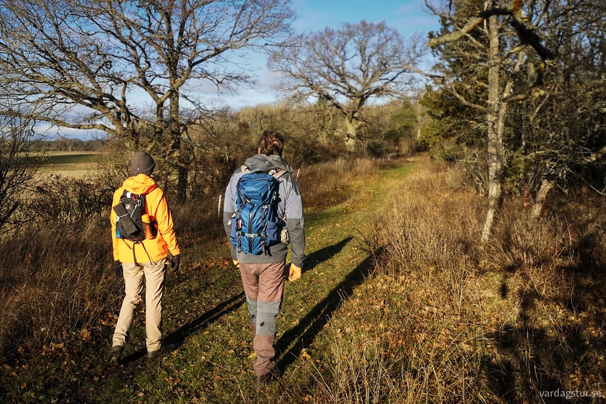 wp-17321309262845461780098183686892