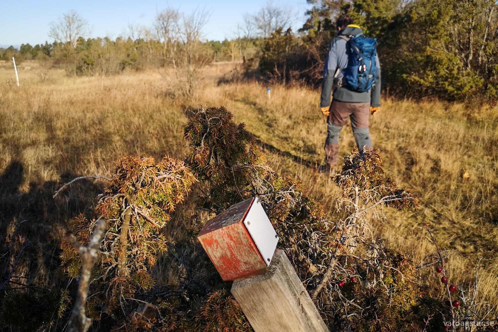 wp-1732130926825171446843150690287