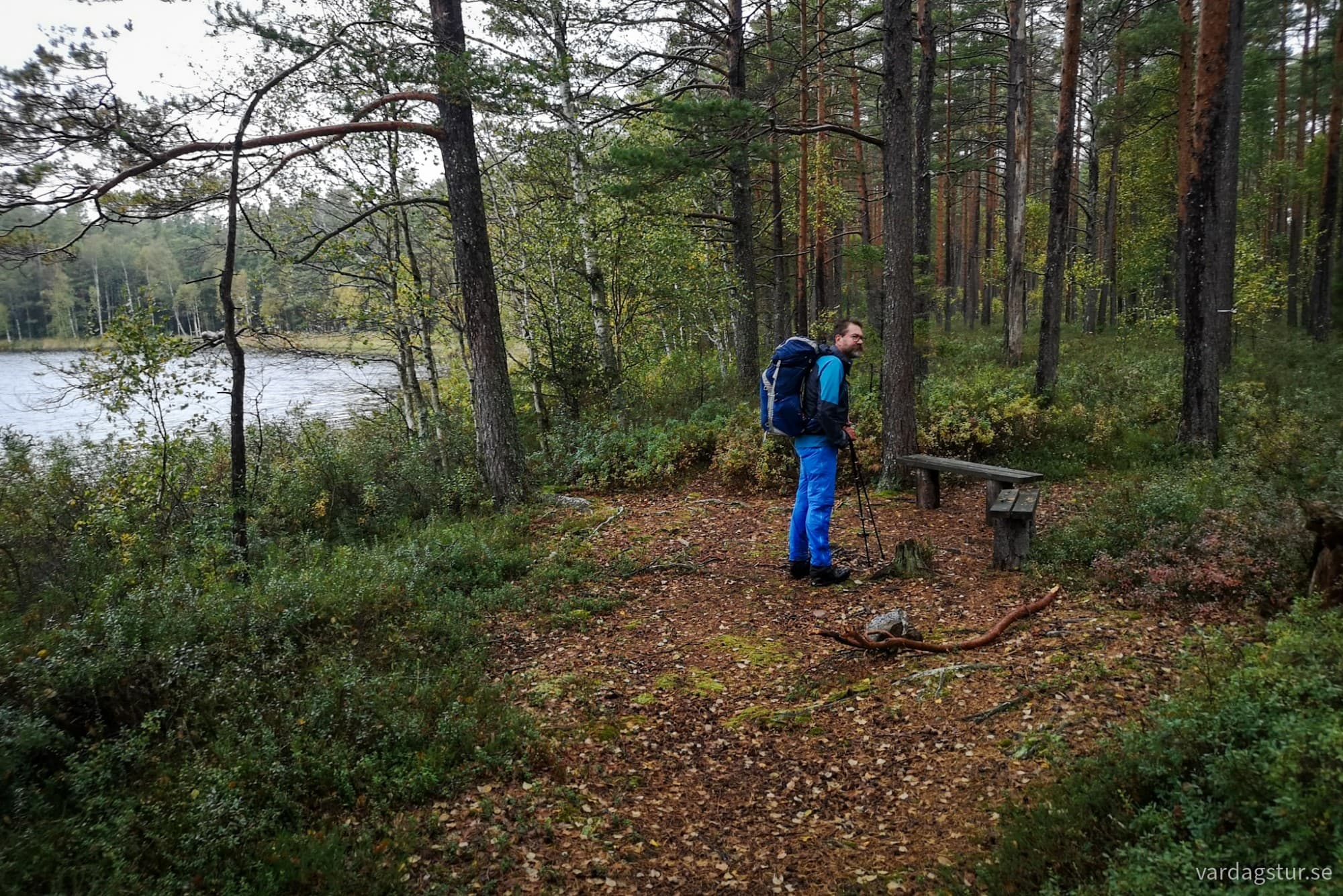 wp-17324801789304377629785209332487