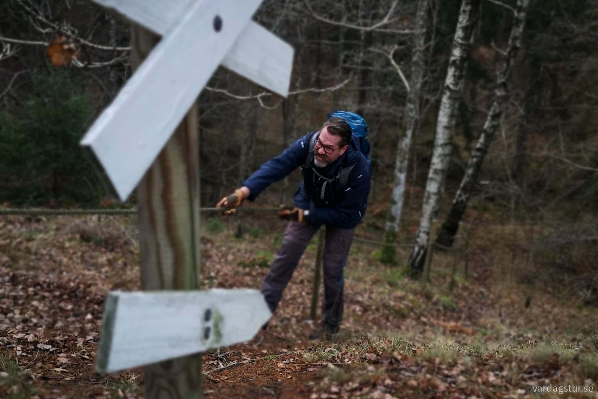 wp-17330376785264670110990350816320