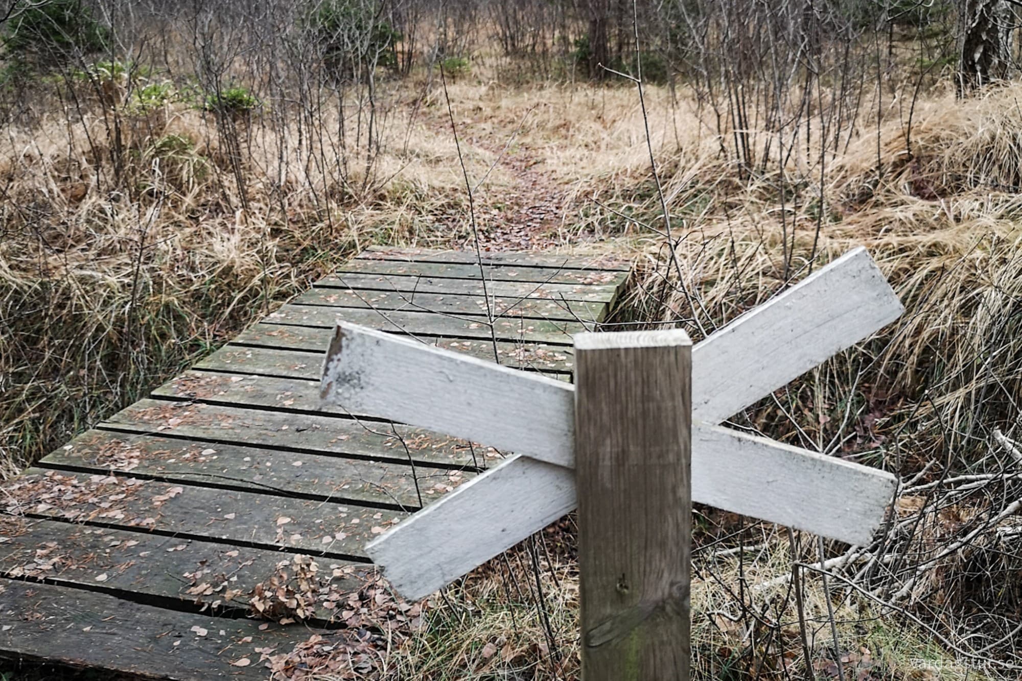 wp-17330376782301356471029476856578