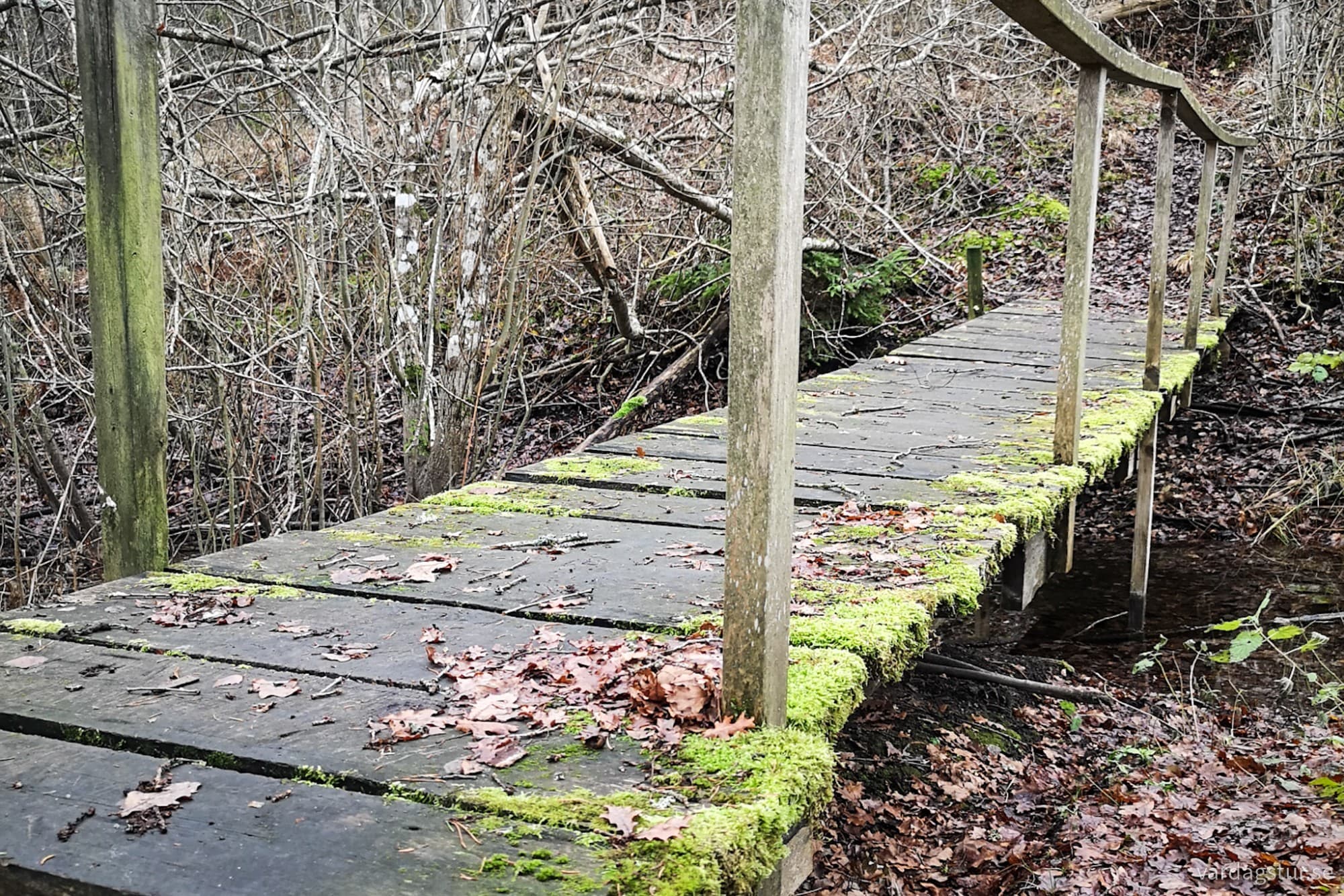 wp-173303767772877171824109448553