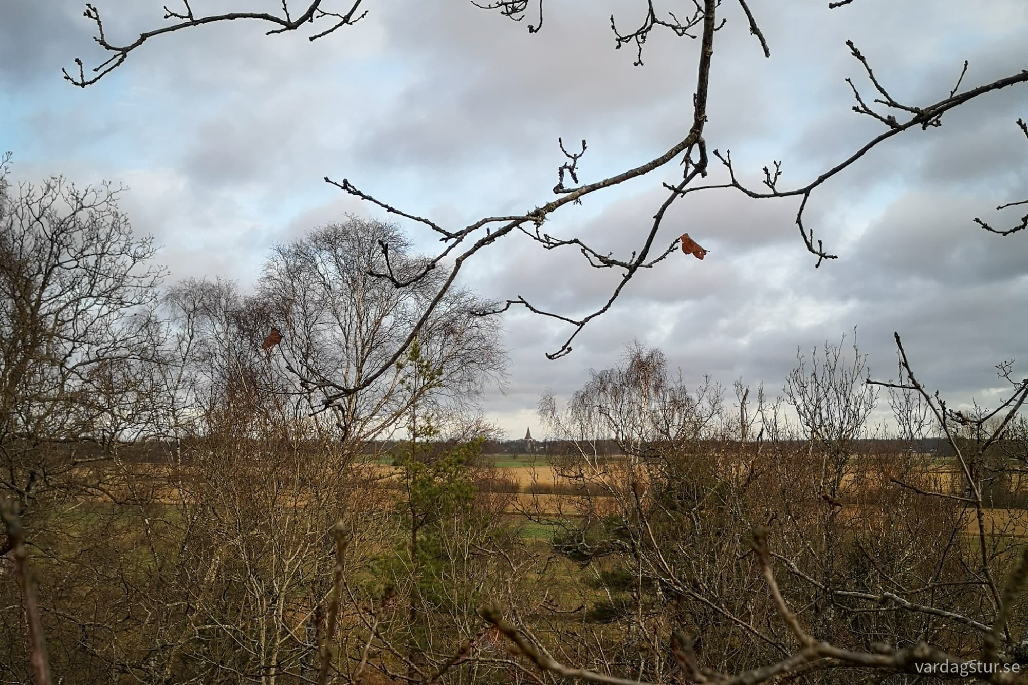 wp-1733041443635990358808633005218