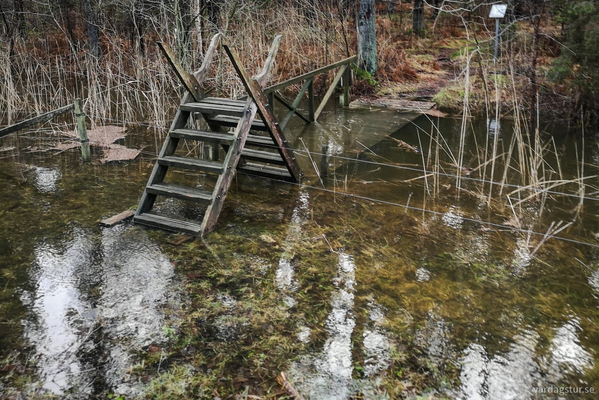 wp-1733042628863923729646170176916